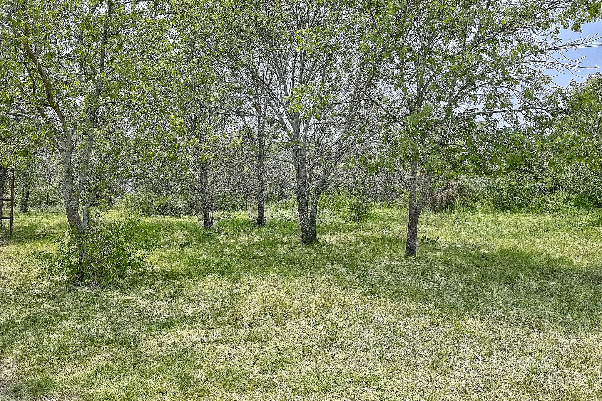 View of nature