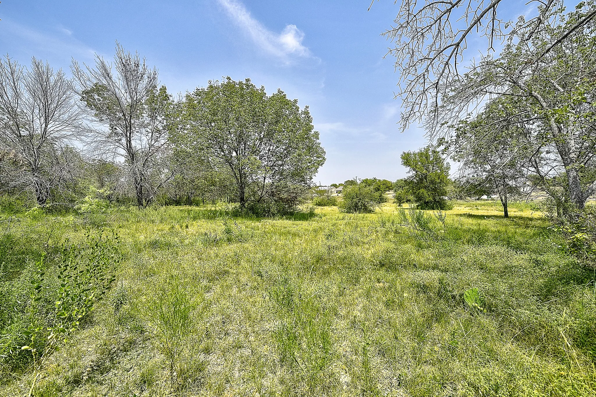 View of undeveloped land