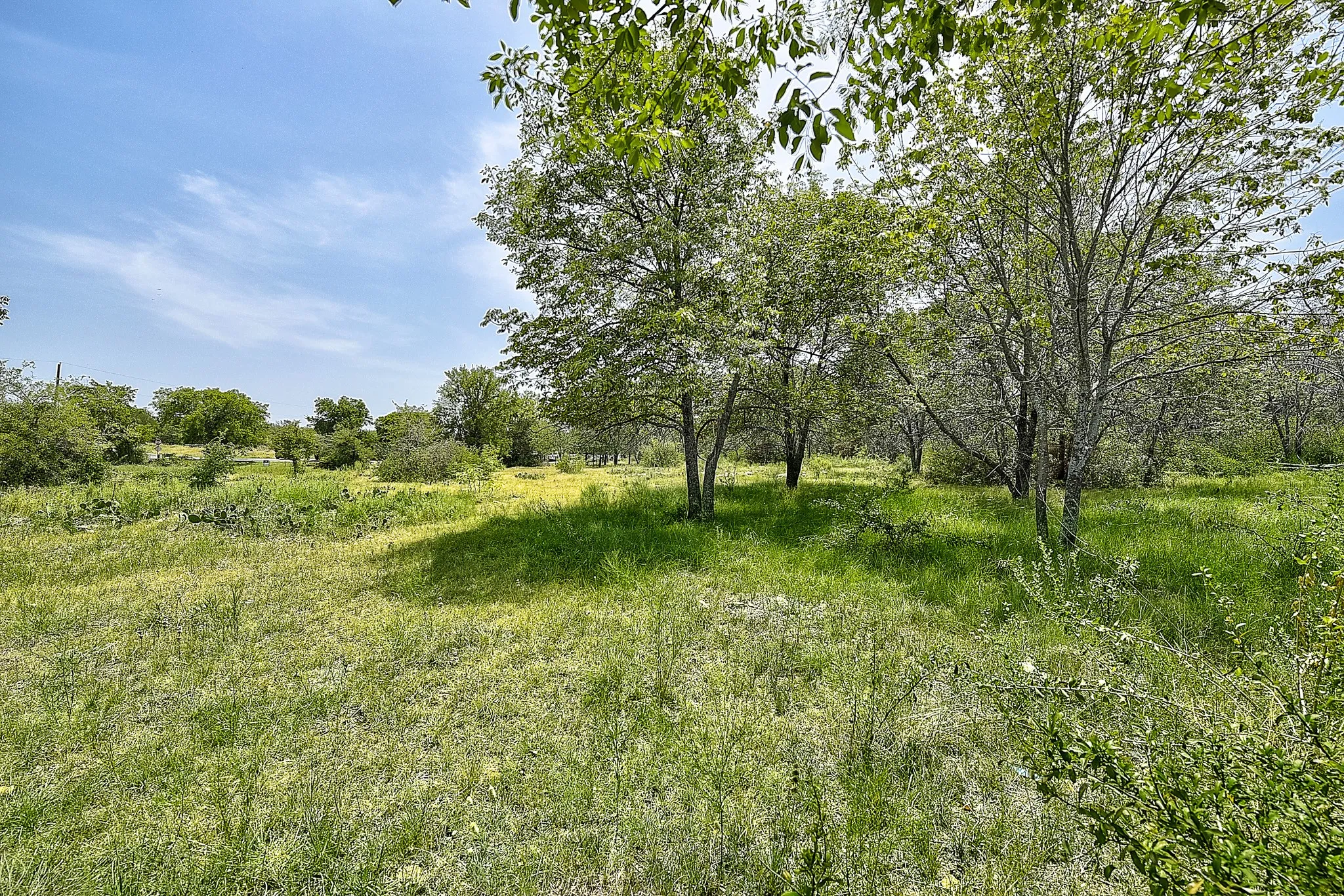View of local wilderness with rural landscape