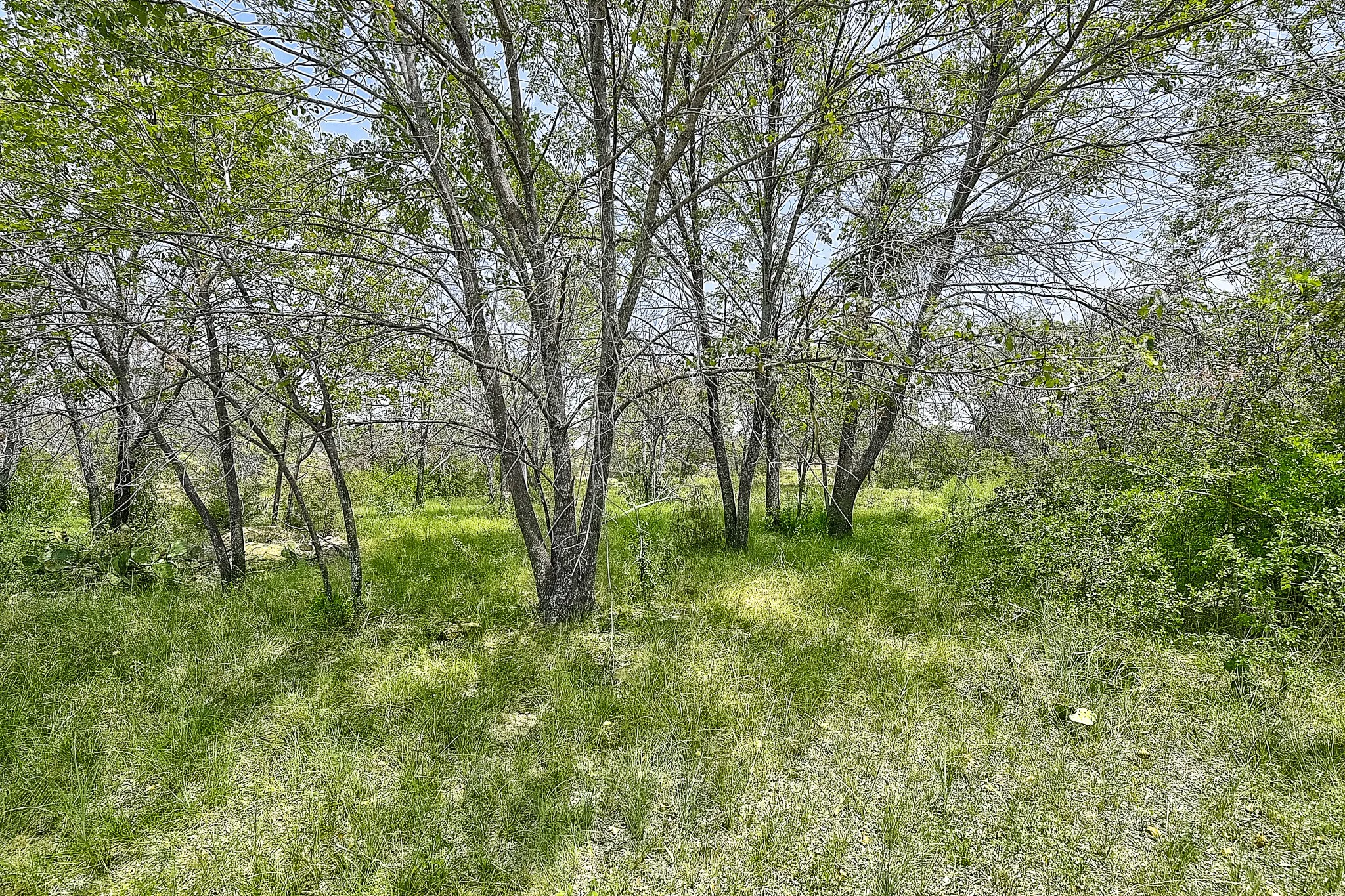View of nature