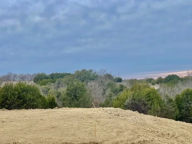 View of nature