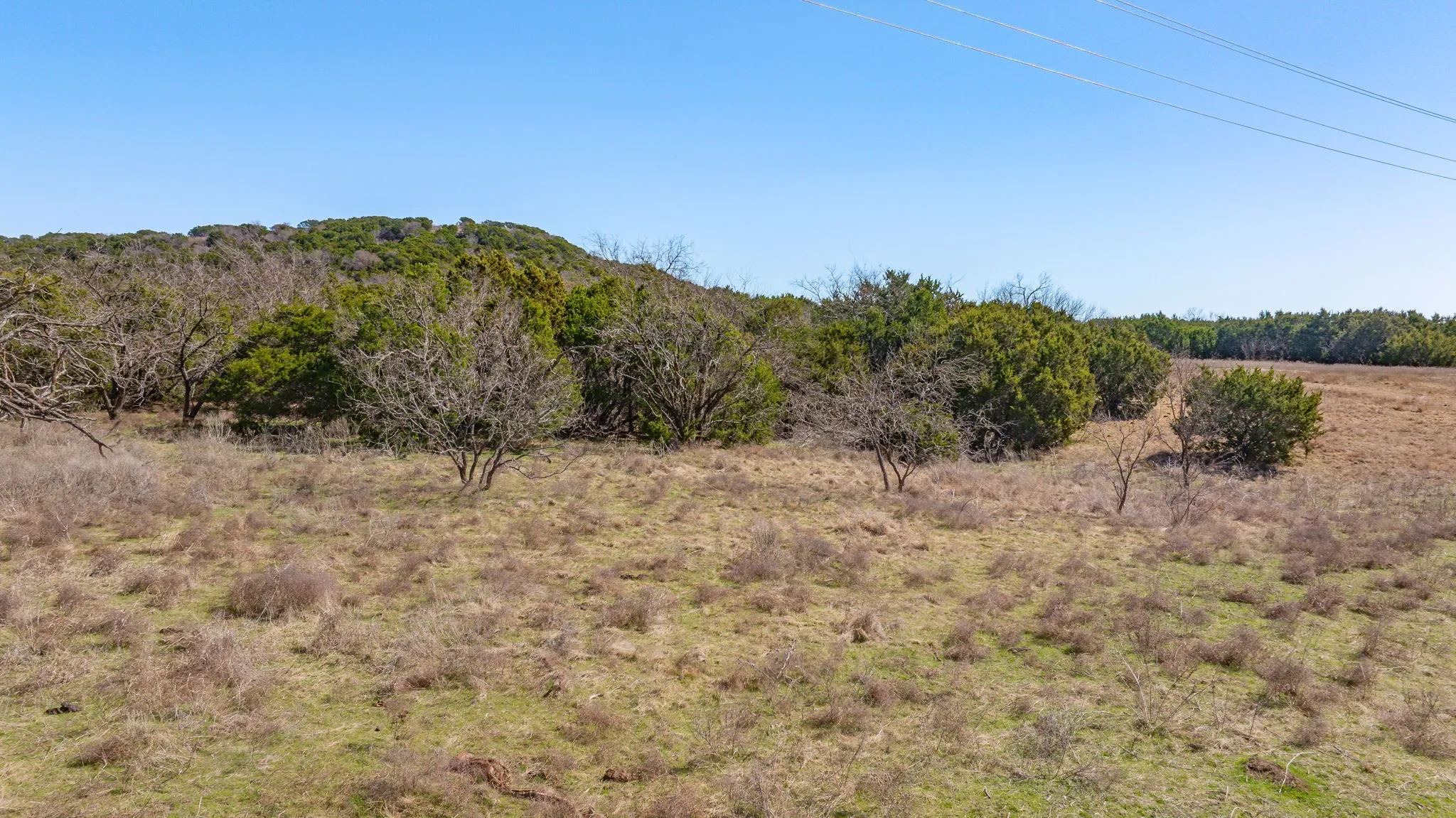 Unimproved Land For Sale in Hamilton County , Lot 162 Private Road 16020, Jonesboro, Texas 76538, 0, 0, Garage spaces, 0 Sqft, built in 0, mls#21025949, Real Estate Agent in Jonesboro, Homes For Sale in Hamilton county, Homes For Sale in Jonesboro, Realtor in Jonesboro Texas, Real Estate Brokerage Independent Realty Texas, Luminita Cordes Realtor
