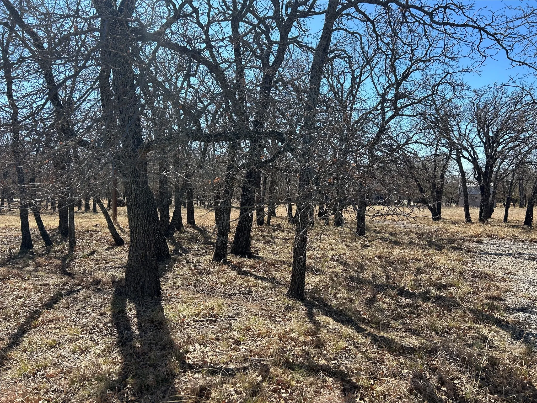 Improved Land For Sale in Brown County , 105 Oak Bluff Lane, May, Texas 76857, 0, 0, Garage spaces, 0 Sqft, built in 0, Price $26,900, mls#21033317, Real Estate Agent in May, Homes For Sale in Brown county, Homes For Sale in May, Realtor in May Texas, Real Estate Brokerage Independent Realty Texas, Luminita Cordes Realtor