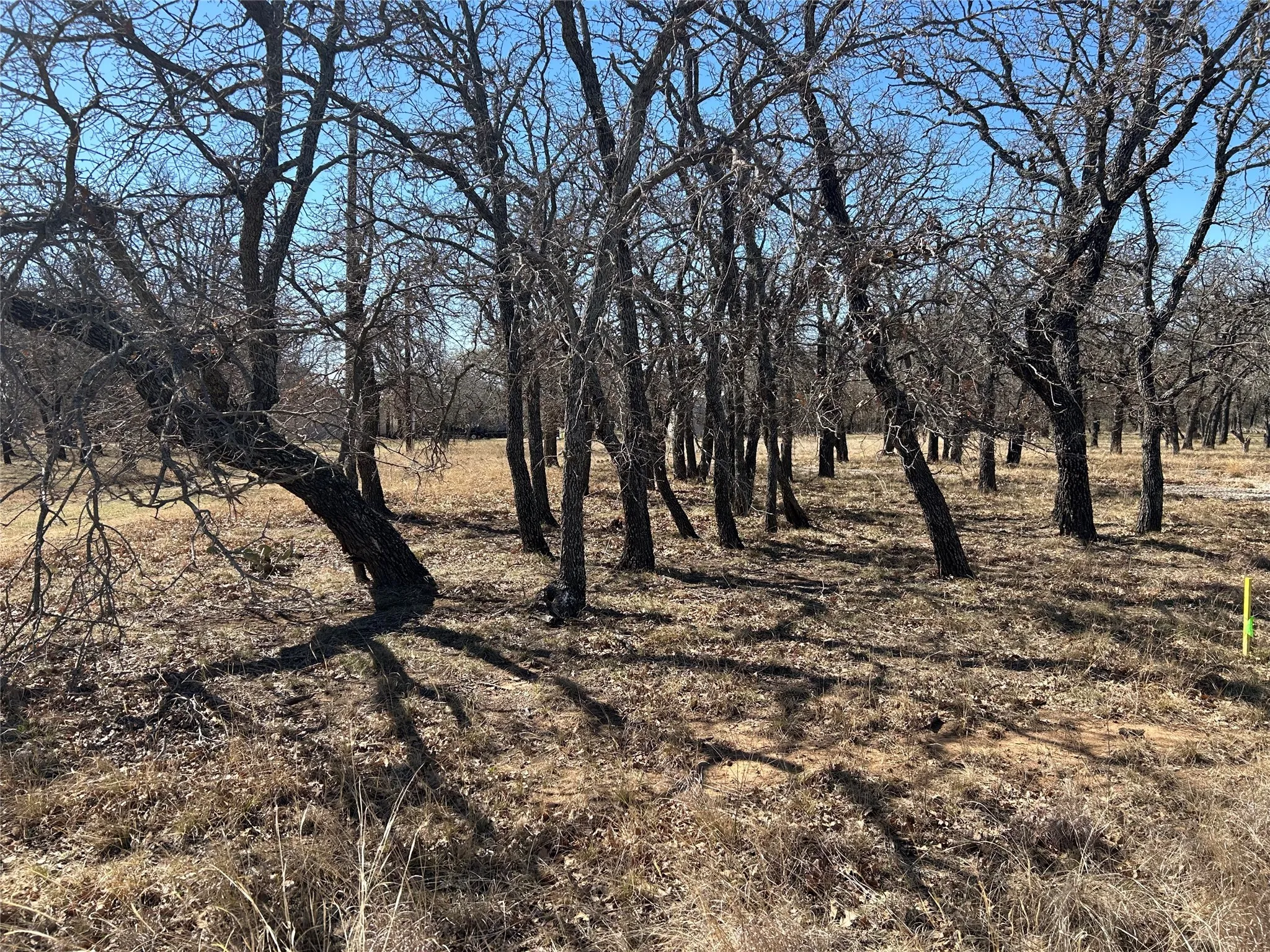 Improved Land For Sale in Brown County , 105 Oak Bluff Lane, May, Texas 76857, 0, 0, Garage spaces, 0 Sqft, built in 0, Price $26,900, mls#21033317, Real Estate Agent in May, Homes For Sale in Brown county, Homes For Sale in May, Realtor in May Texas, Real Estate Brokerage Independent Realty Texas, Luminita Cordes Realtor