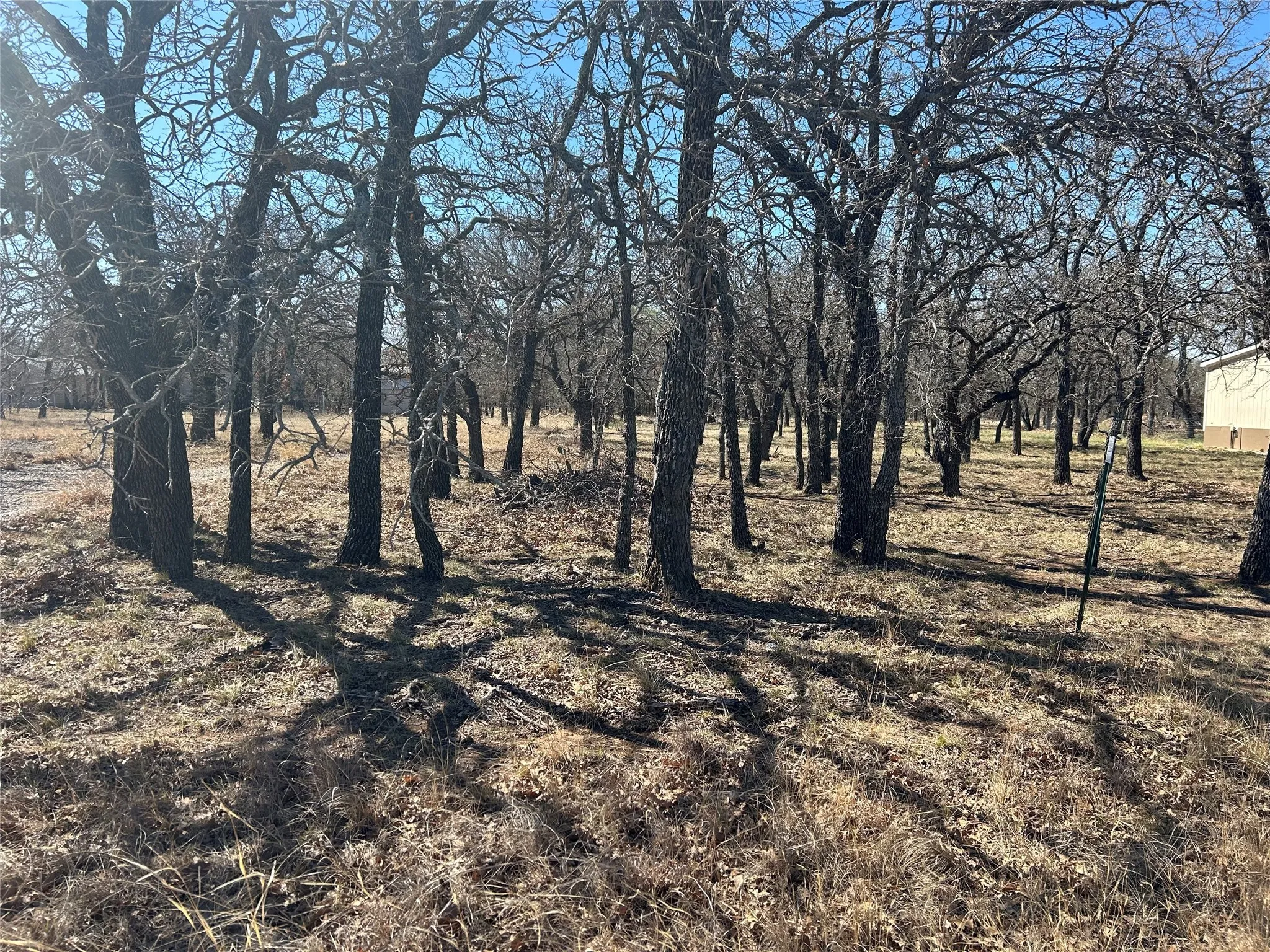 Improved Land For Sale in Brown County , 105 Oak Bluff Lane, May, Texas 76857, 0, 0, Garage spaces, 0 Sqft, built in 0, Price $26,900, mls#21033317, Real Estate Agent in May, Homes For Sale in Brown county, Homes For Sale in May, Realtor in May Texas, Real Estate Brokerage Independent Realty Texas, Luminita Cordes Realtor