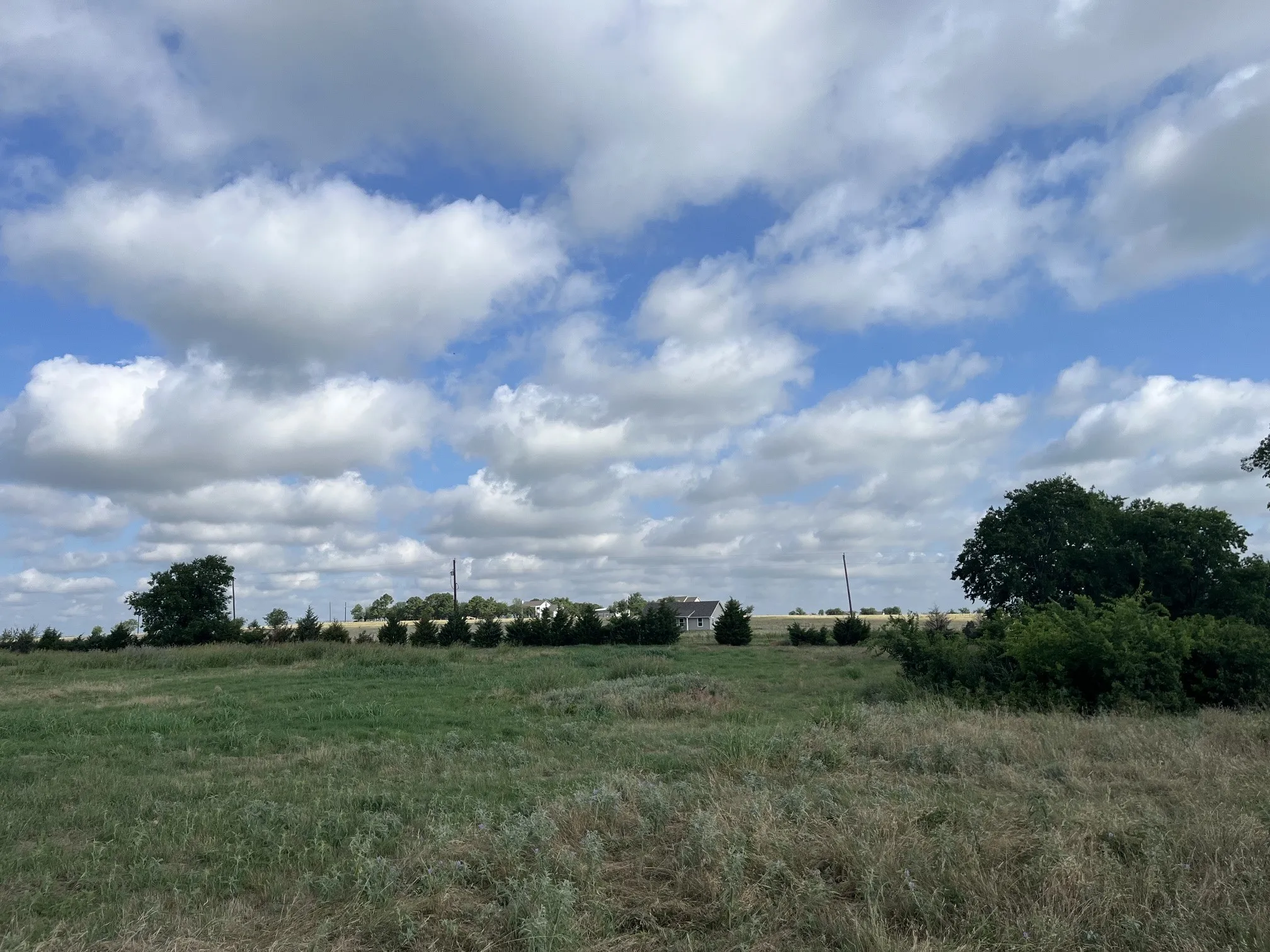 Unimproved Land For Sale in Denton County , 11858 Fm 1190, Sanger, Texas 76266, 0, 0, Garage spaces, 0 Sqft, built in 1949, Price $849,900, mls#21033277, Real Estate Agent in Sanger, Homes For Sale in Denton county, Homes For Sale in Sanger, Realtor in Sanger Texas, Real Estate Brokerage Independent Realty Texas, Luminita Cordes Realtor