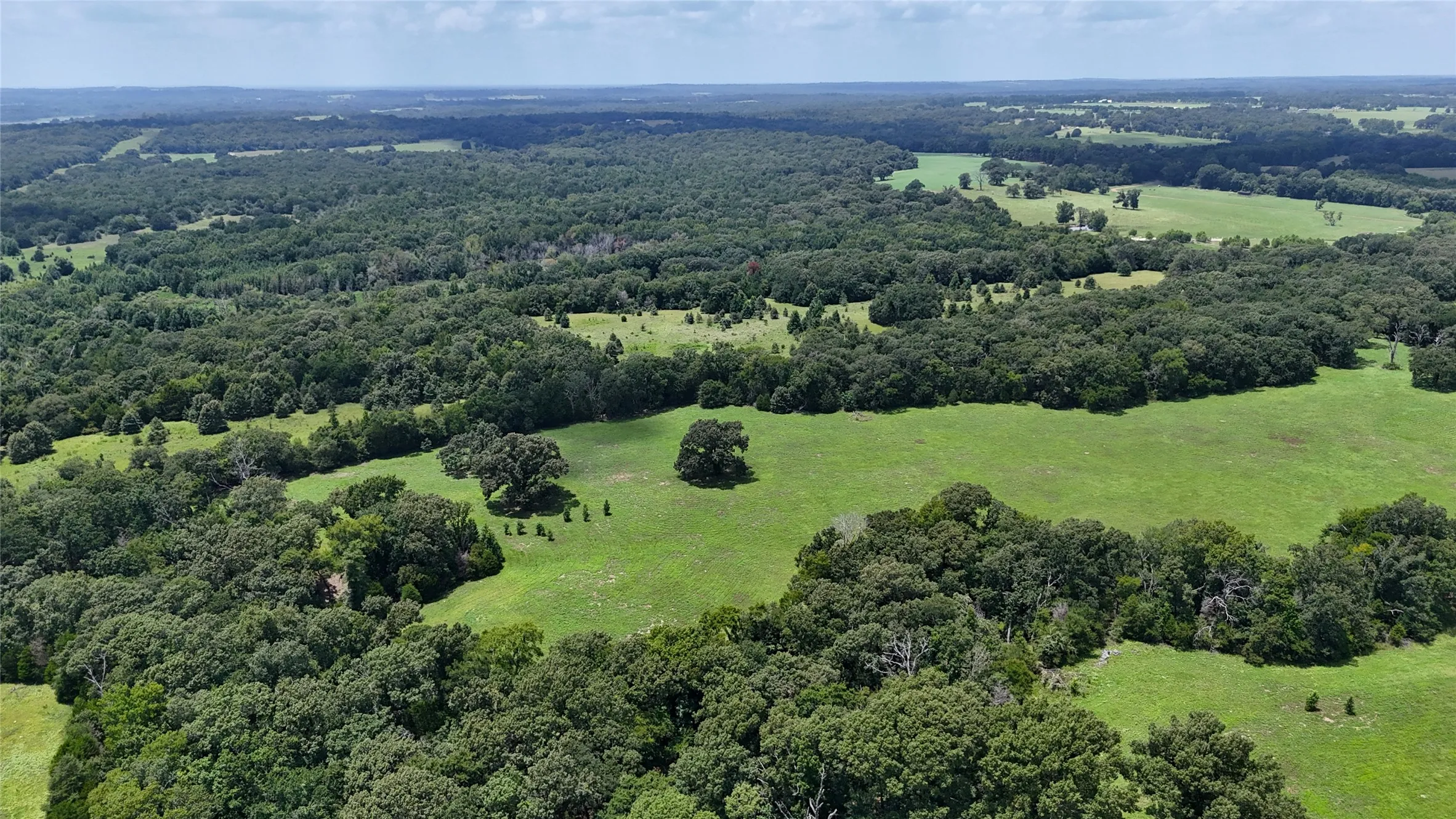 Unimproved Land For Sale in Henderson County , TBD CR 4613, Athens, Texas 75751, 0, 0, Garage spaces, 0 Sqft, built in 0, Price $599,000, mls#21033614, Real Estate Agent in Athens, Homes For Sale in Henderson county, Homes For Sale in Athens, Realtor in Athens Texas, Real Estate Brokerage Independent Realty Texas, Luminita Cordes Realtor