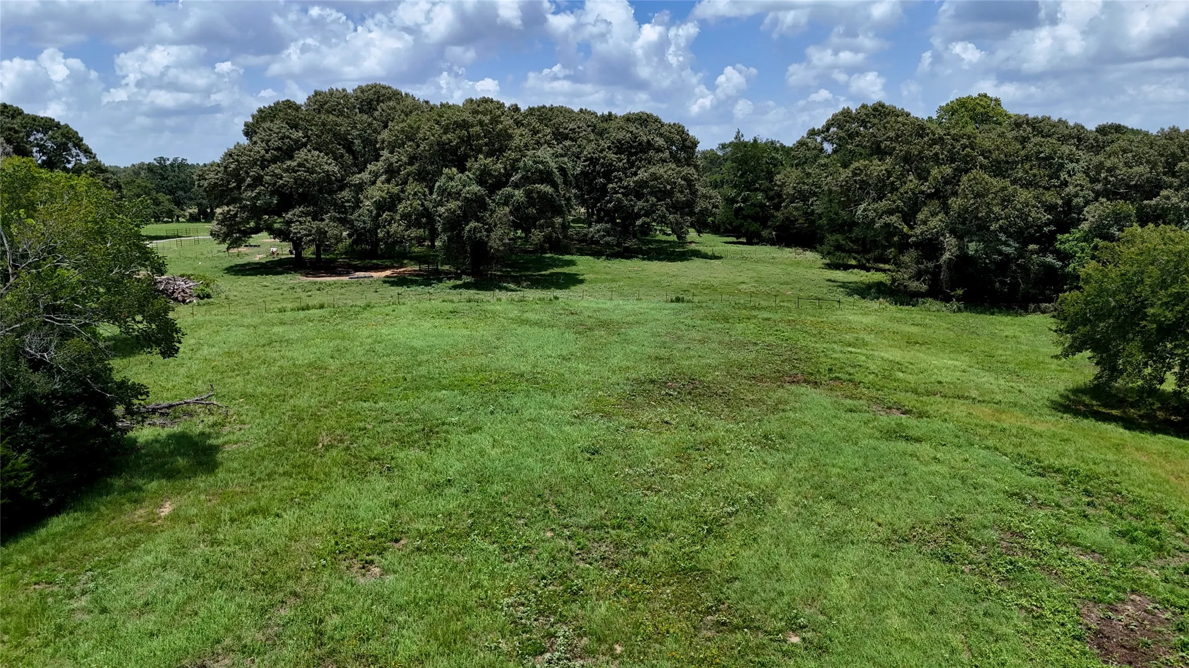 Unimproved Land For Sale in Henderson County , TBD CR 4613, Athens, Texas 75751, 0, 0, Garage spaces, 0 Sqft, built in 0, Price $599,000, mls#21033614, Real Estate Agent in Athens, Homes For Sale in Henderson county, Homes For Sale in Athens, Realtor in Athens Texas, Real Estate Brokerage Independent Realty Texas, Luminita Cordes Realtor