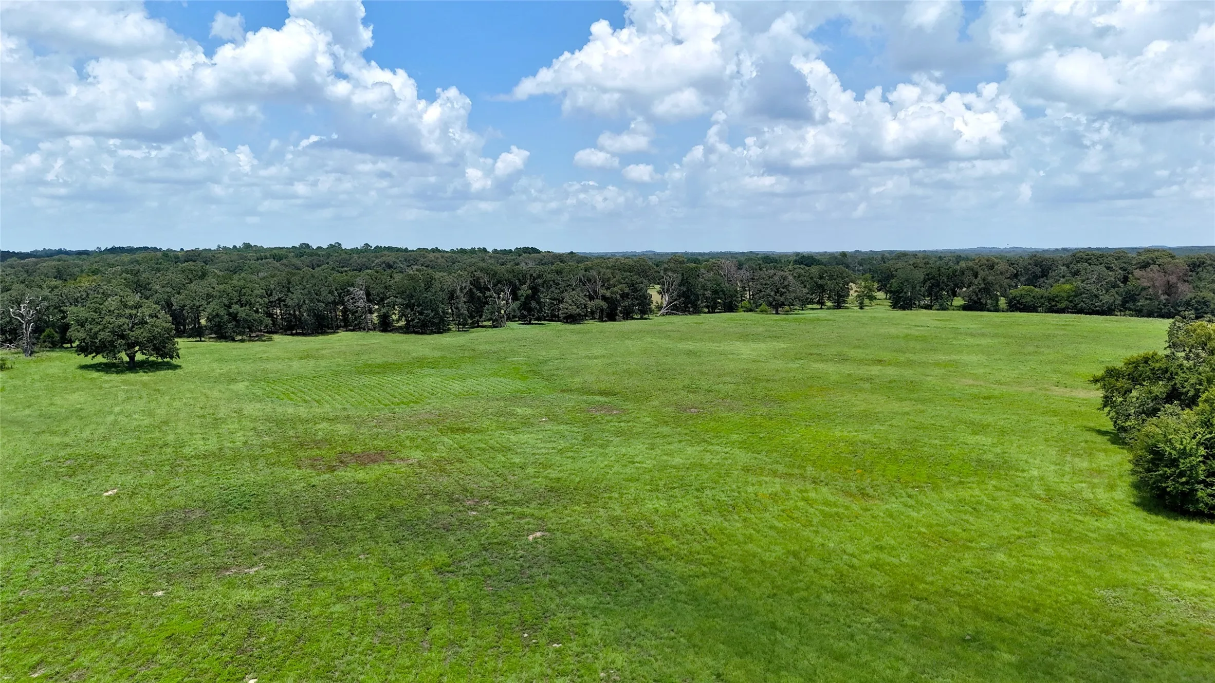 Unimproved Land For Sale in Henderson County , TBD CR 4613, Athens, Texas 75751, 0, 0, Garage spaces, 0 Sqft, built in 0, Price $599,000, mls#21033614, Real Estate Agent in Athens, Homes For Sale in Henderson county, Homes For Sale in Athens, Realtor in Athens Texas, Real Estate Brokerage Independent Realty Texas, Luminita Cordes Realtor