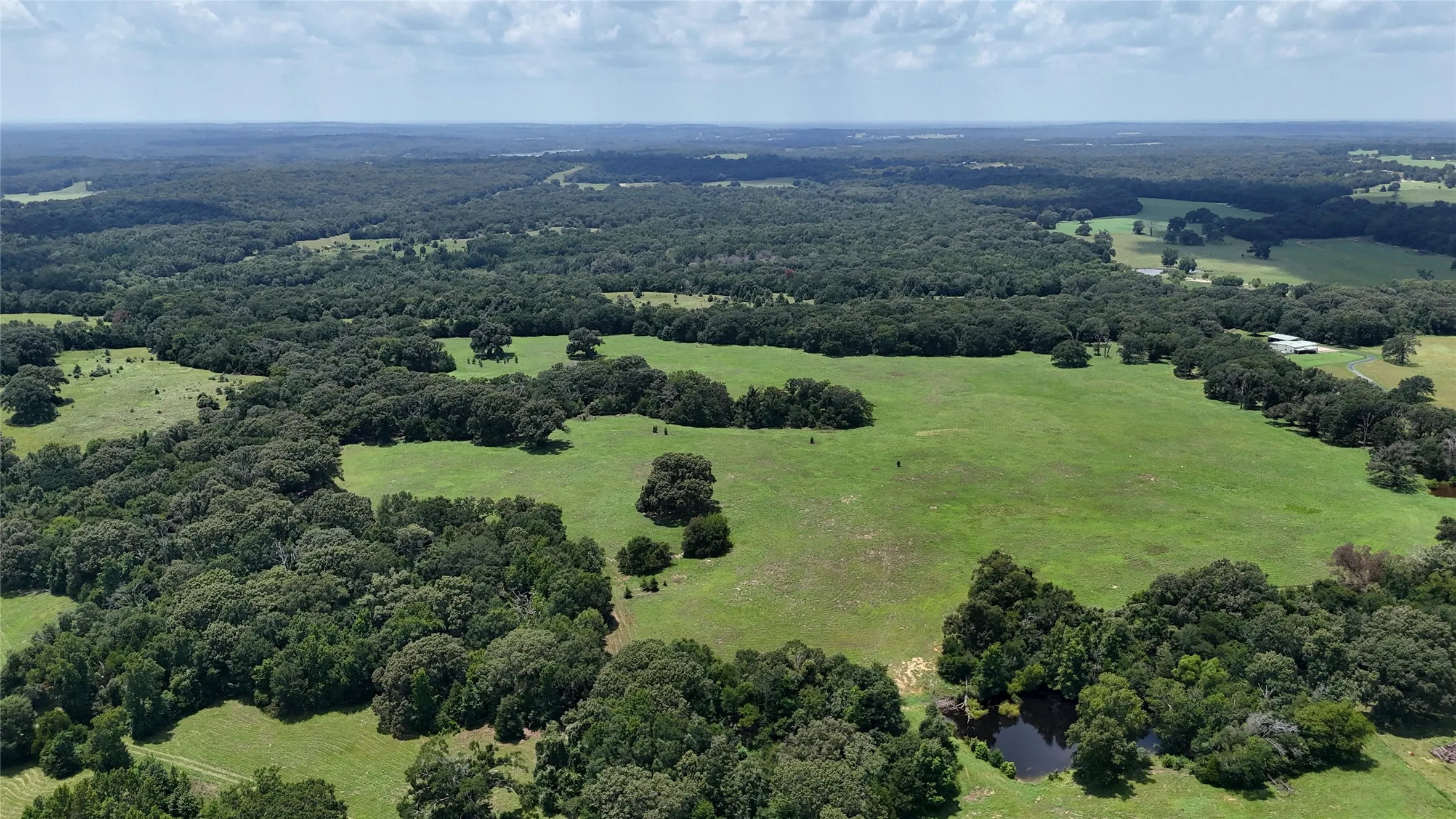 Unimproved Land For Sale in Henderson County , TBD CR 4613, Athens, Texas 75751, 0, 0, Garage spaces, 0 Sqft, built in 0, Price $599,000, mls#21033614, Real Estate Agent in Athens, Homes For Sale in Henderson county, Homes For Sale in Athens, Realtor in Athens Texas, Real Estate Brokerage Independent Realty Texas, Luminita Cordes Realtor