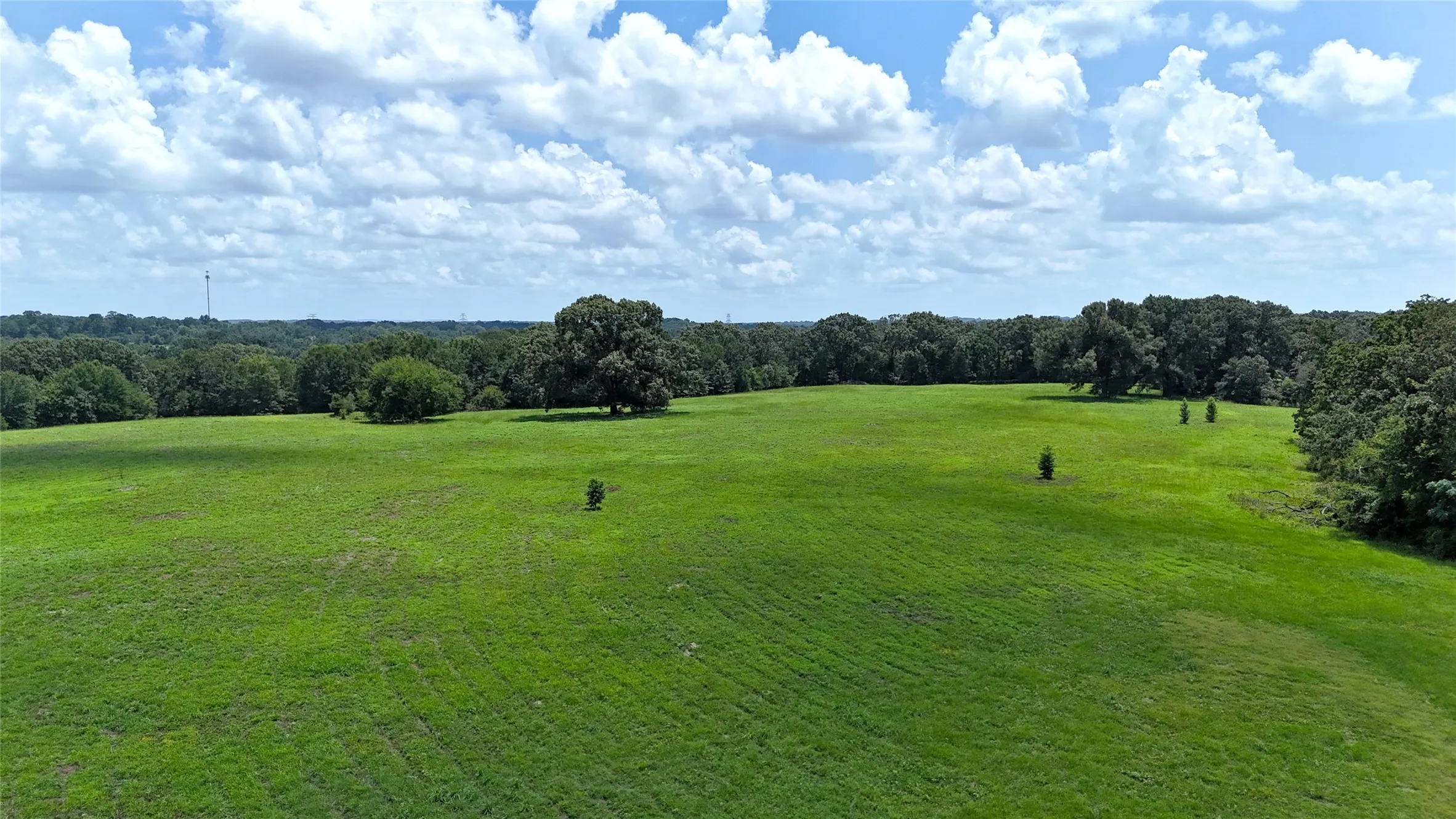 Unimproved Land For Sale in Henderson County , TBD CR 4613, Athens, Texas 75751, 0, 0, Garage spaces, 0 Sqft, built in 0, Price $599,000, mls#21033614, Real Estate Agent in Athens, Homes For Sale in Henderson county, Homes For Sale in Athens, Realtor in Athens Texas, Real Estate Brokerage Independent Realty Texas, Luminita Cordes Realtor