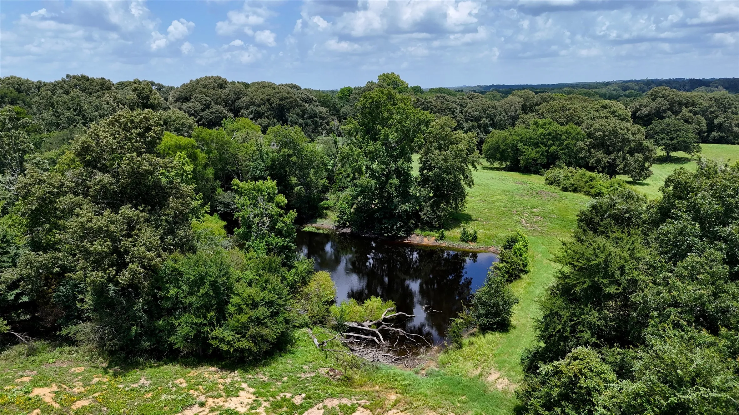Unimproved Land For Sale in Henderson County , TBD CR 4613, Athens, Texas 75751, 0, 0, Garage spaces, 0 Sqft, built in 0, Price $599,000, mls#21033614, Real Estate Agent in Athens, Homes For Sale in Henderson county, Homes For Sale in Athens, Realtor in Athens Texas, Real Estate Brokerage Independent Realty Texas, Luminita Cordes Realtor