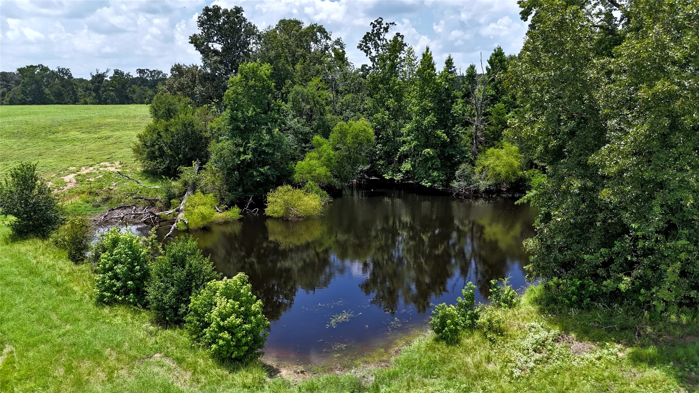 Unimproved Land For Sale in Henderson County , TBD CR 4613, Athens, Texas 75751, 0, 0, Garage spaces, 0 Sqft, built in 0, Price $599,000, mls#21033614, Real Estate Agent in Athens, Homes For Sale in Henderson county, Homes For Sale in Athens, Realtor in Athens Texas, Real Estate Brokerage Independent Realty Texas, Luminita Cordes Realtor
