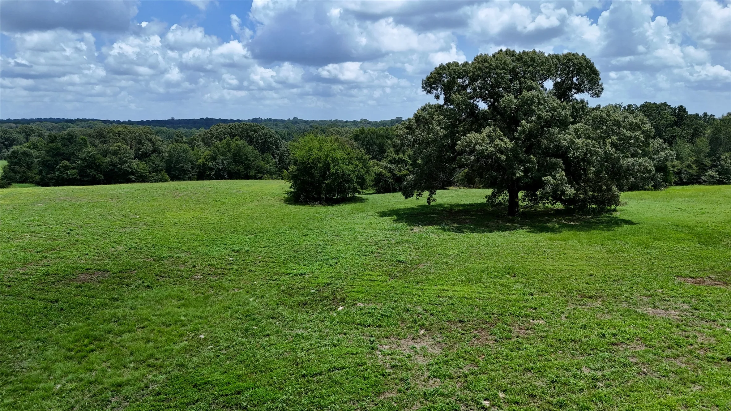 Unimproved Land For Sale in Henderson County , TBD CR 4613, Athens, Texas 75751, 0, 0, Garage spaces, 0 Sqft, built in 0, Price $599,000, mls#21033614, Real Estate Agent in Athens, Homes For Sale in Henderson county, Homes For Sale in Athens, Realtor in Athens Texas, Real Estate Brokerage Independent Realty Texas, Luminita Cordes Realtor