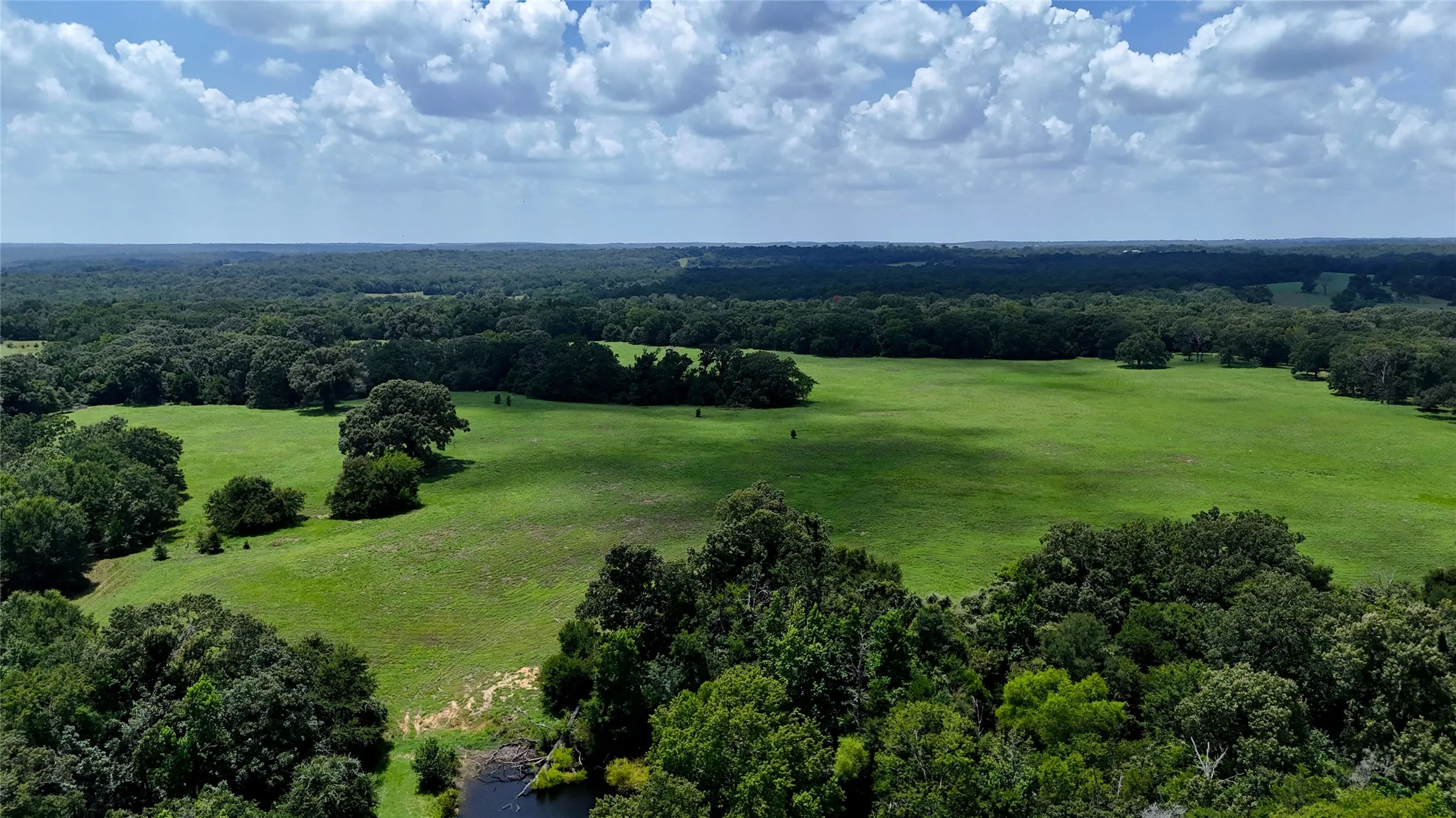 Unimproved Land For Sale in Henderson County , TBD CR 4613, Athens, Texas 75751, 0, 0, Garage spaces, 0 Sqft, built in 0, Price $599,000, mls#21033614, Real Estate Agent in Athens, Homes For Sale in Henderson county, Homes For Sale in Athens, Realtor in Athens Texas, Real Estate Brokerage Independent Realty Texas, Luminita Cordes Realtor