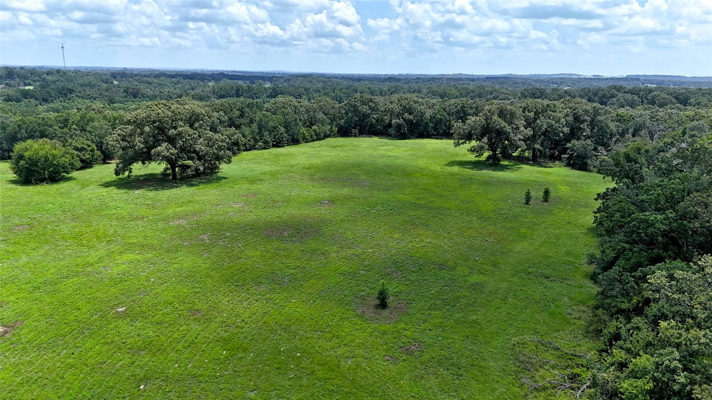 Unimproved Land For Sale in Henderson County , TBD CR 4613, Athens, Texas 75751, 0, 0, Garage spaces, 0 Sqft, built in 0, Price $599,000, mls#21033614, Real Estate Agent in Athens, Homes For Sale in Henderson county, Homes For Sale in Athens, Realtor in Athens Texas, Real Estate Brokerage Independent Realty Texas, Luminita Cordes Realtor