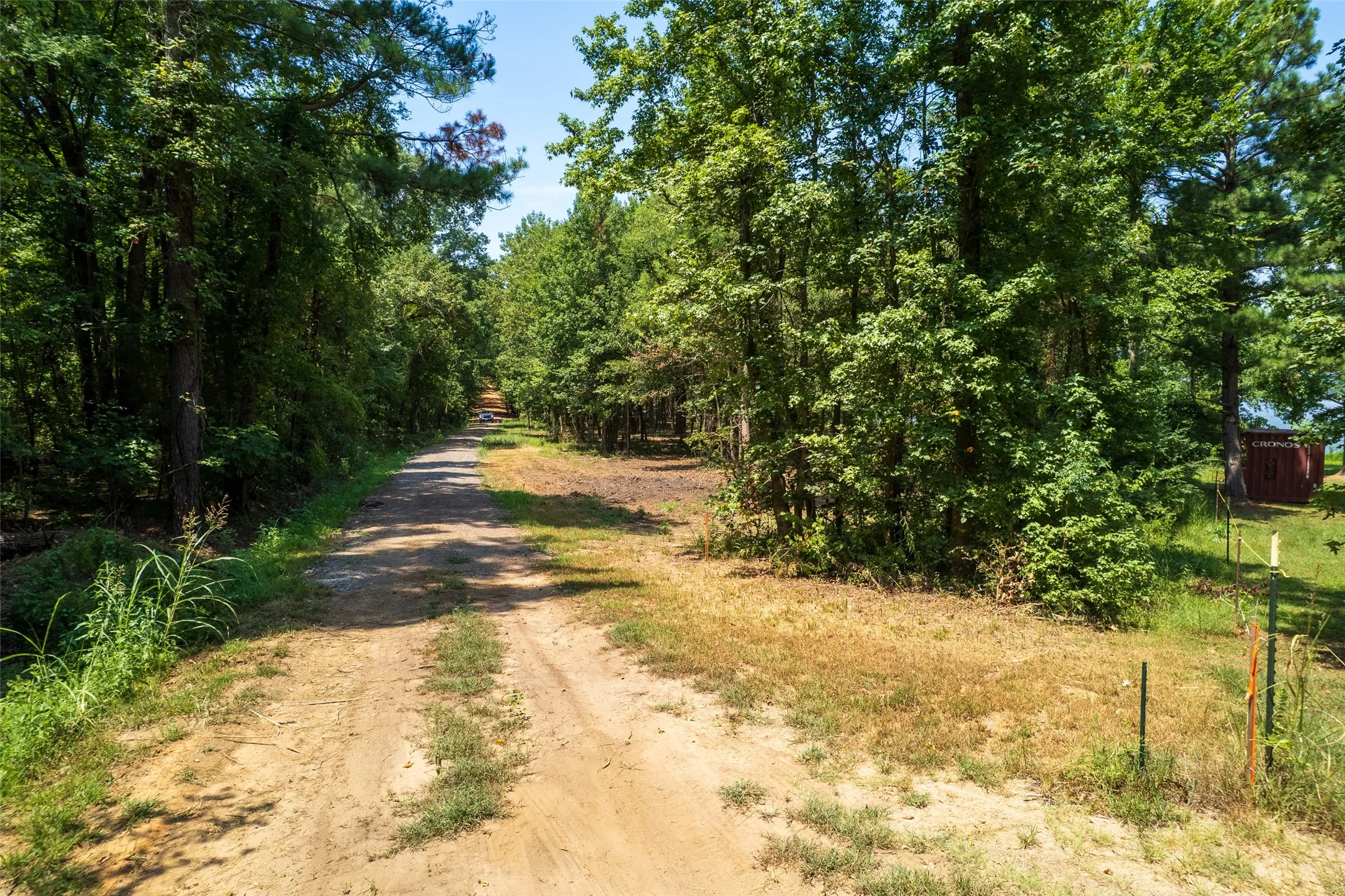 View of dirt / gravel road featuring a view of trees