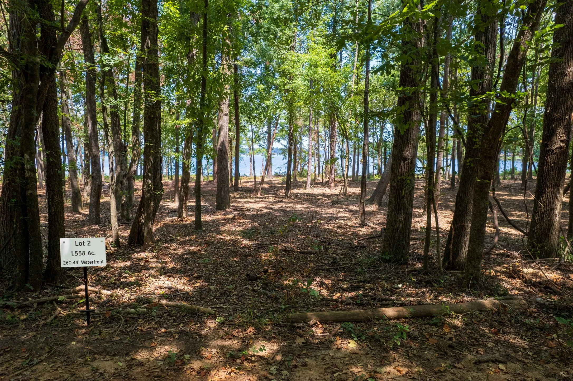 Unimproved Land For Sale in Camp County , TBD Pvt Rd 52447, Leesburg, Texas 75451, 0, 0, Garage spaces, 0 Sqft, built in 0, Price $300,000, mls#21033685, Real Estate Agent in Leesburg, Homes For Sale in Camp county, Homes For Sale in Leesburg, Realtor in Leesburg Texas, Real Estate Brokerage Independent Realty Texas, Luminita Cordes Realtor