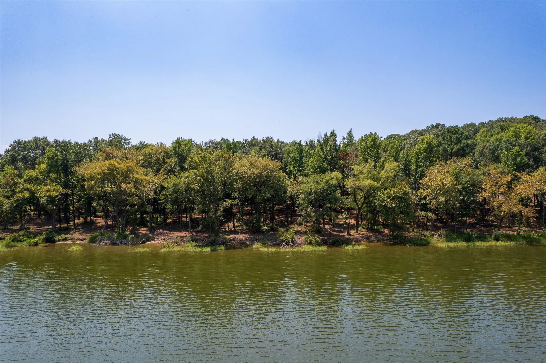 Water view
