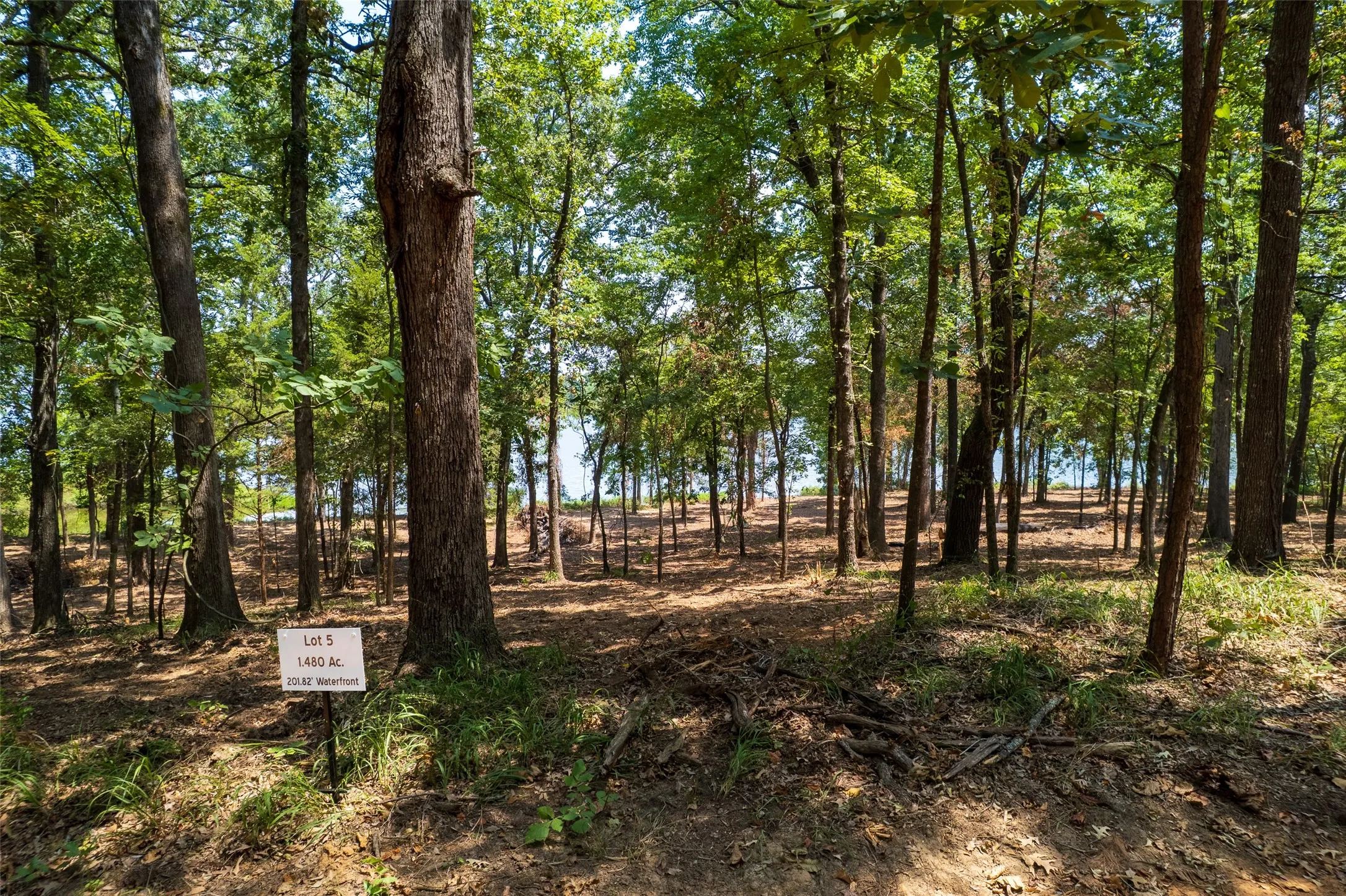 Unimproved Land For Sale in Camp County , TBD Private Road 52447, Leesburg, Texas 75451, 0, 0, Garage spaces, 0 Sqft, built in 0, Price $400,000, mls#21033782, Real Estate Agent in Leesburg, Homes For Sale in Camp county, Homes For Sale in Leesburg, Realtor in Leesburg Texas, Real Estate Brokerage Independent Realty Texas, Luminita Cordes Realtor