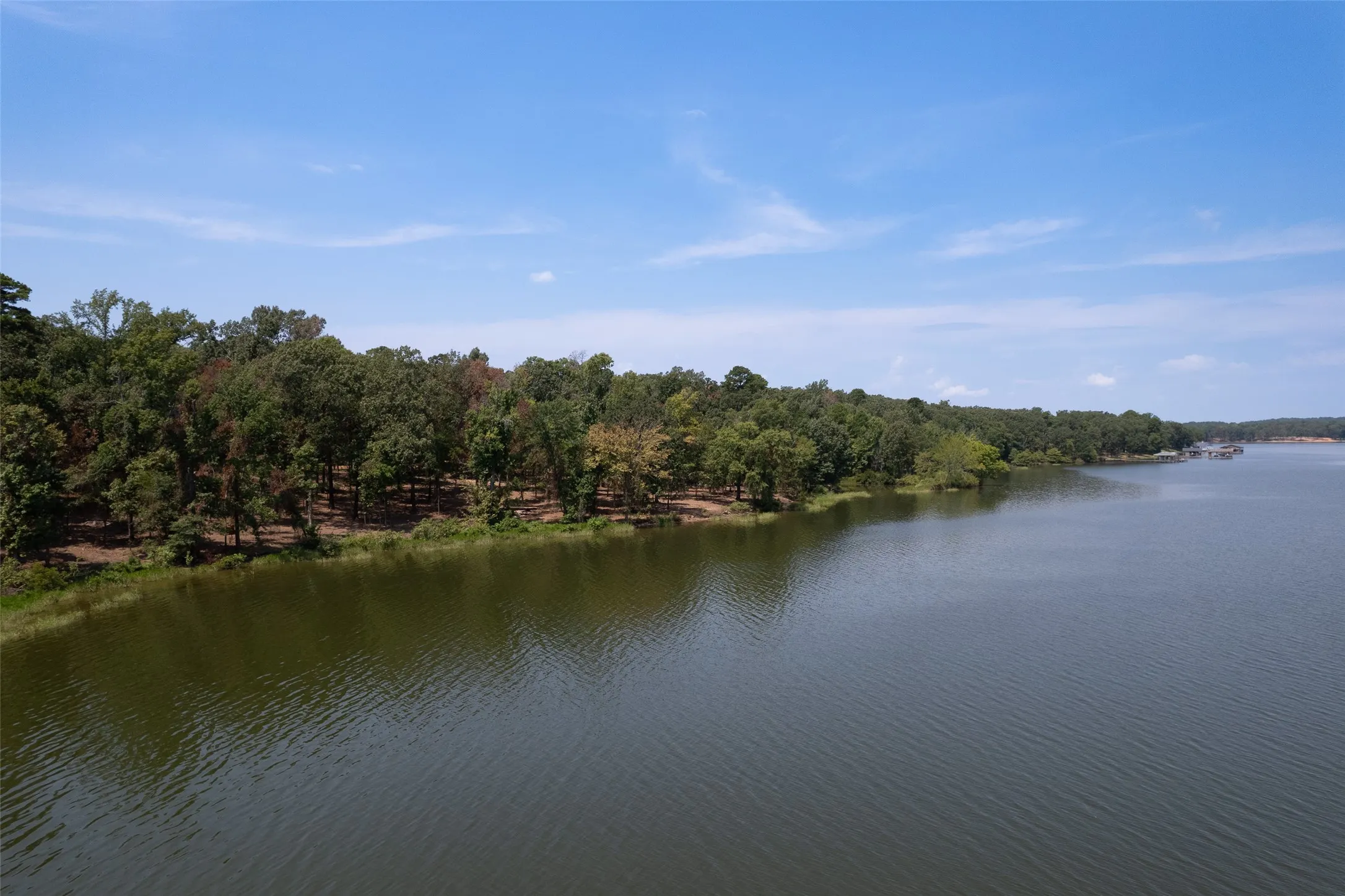 Water view with a heavily wooded area