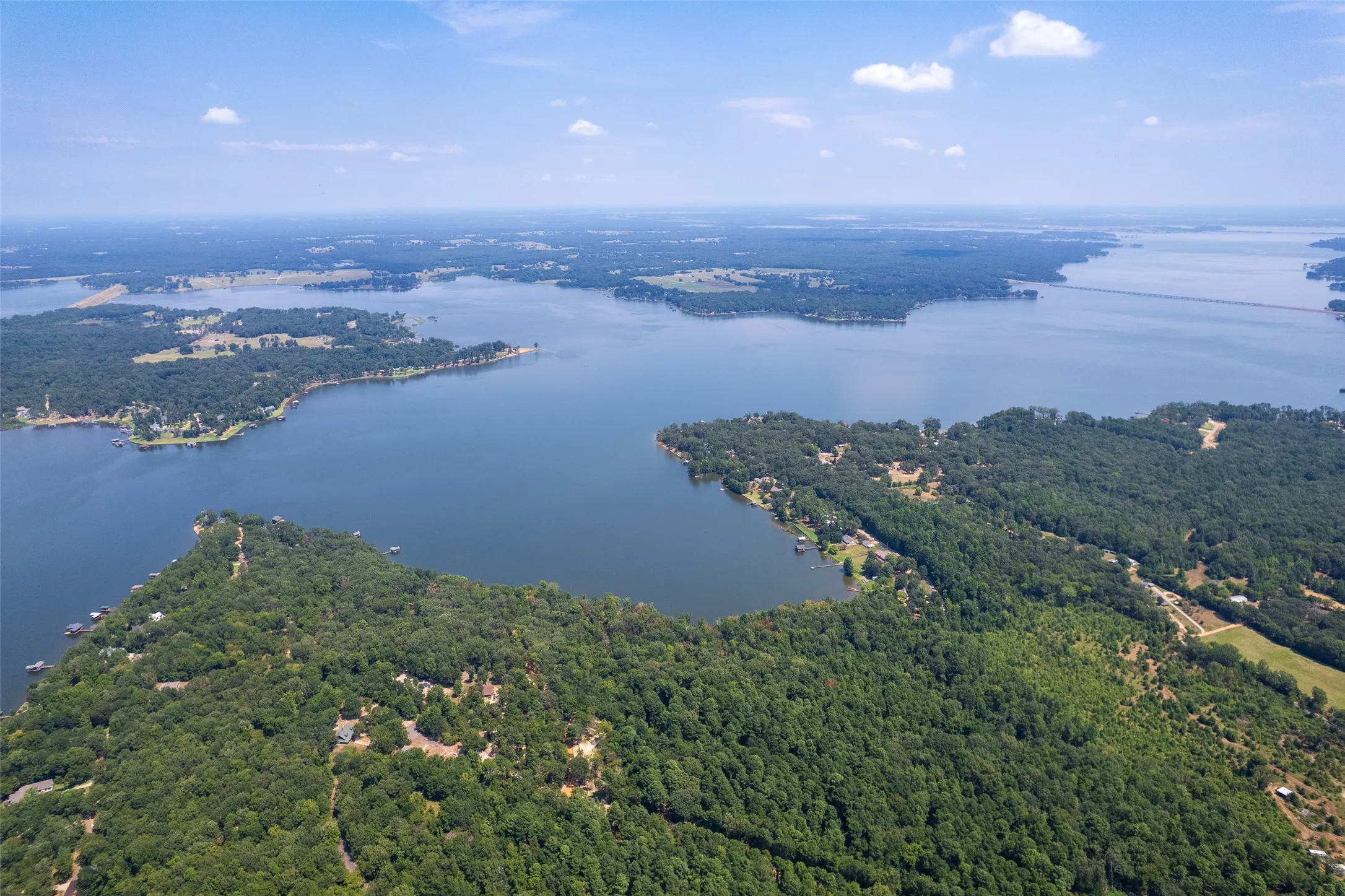 Bird's eye view of a heavily wooded area and a nearby body of water