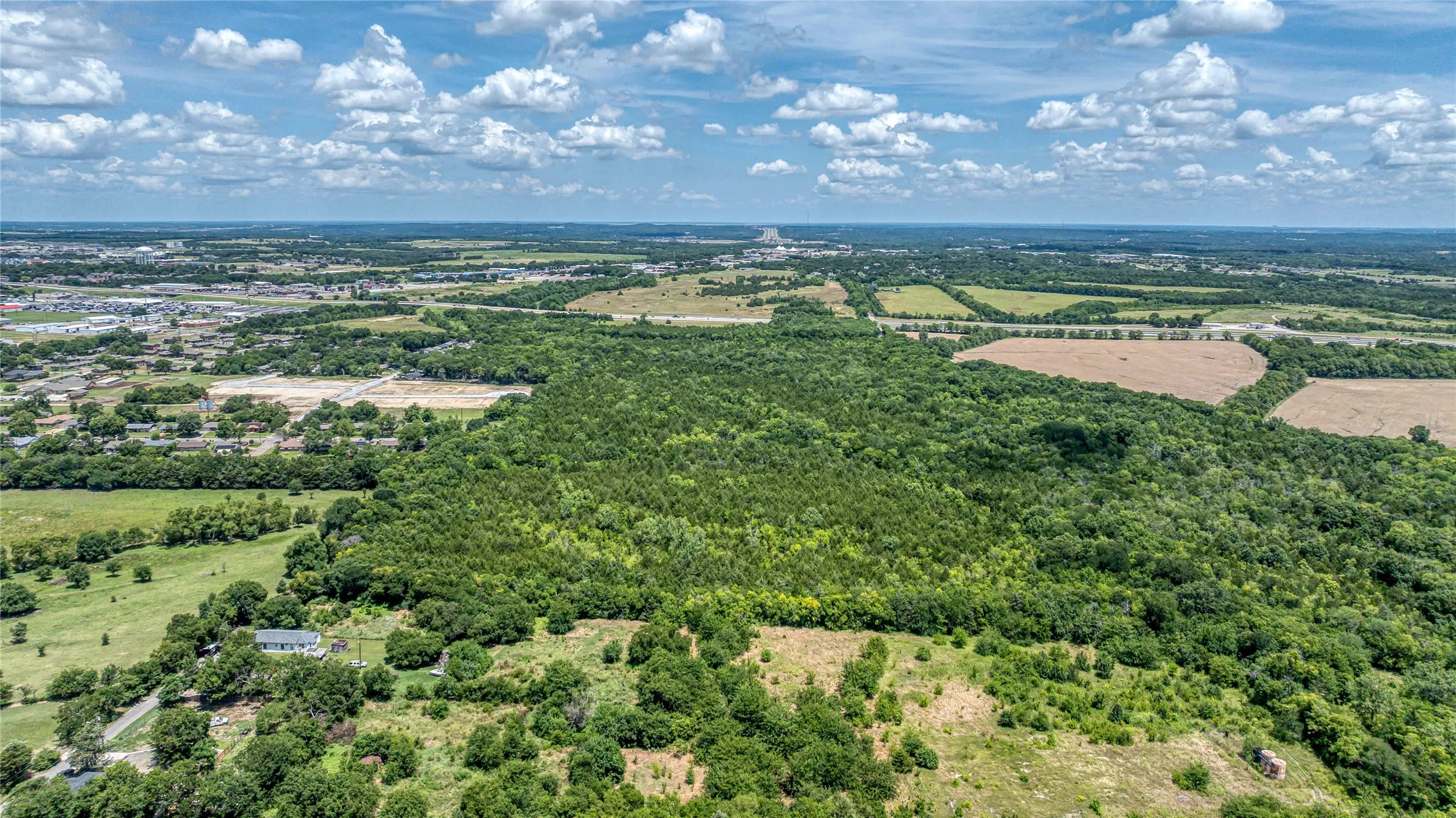 Drone / aerial view of a forest