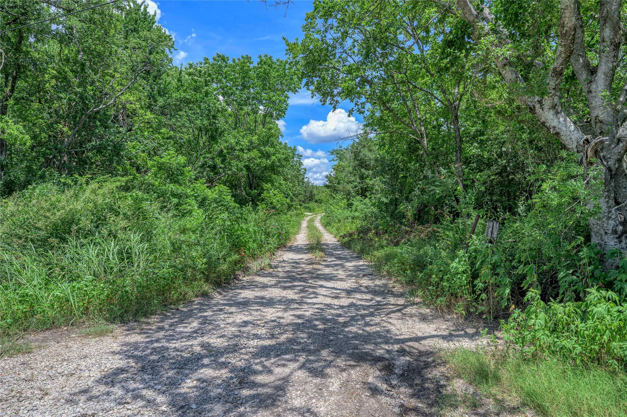 View of dirt / gravel road featuring a forest view