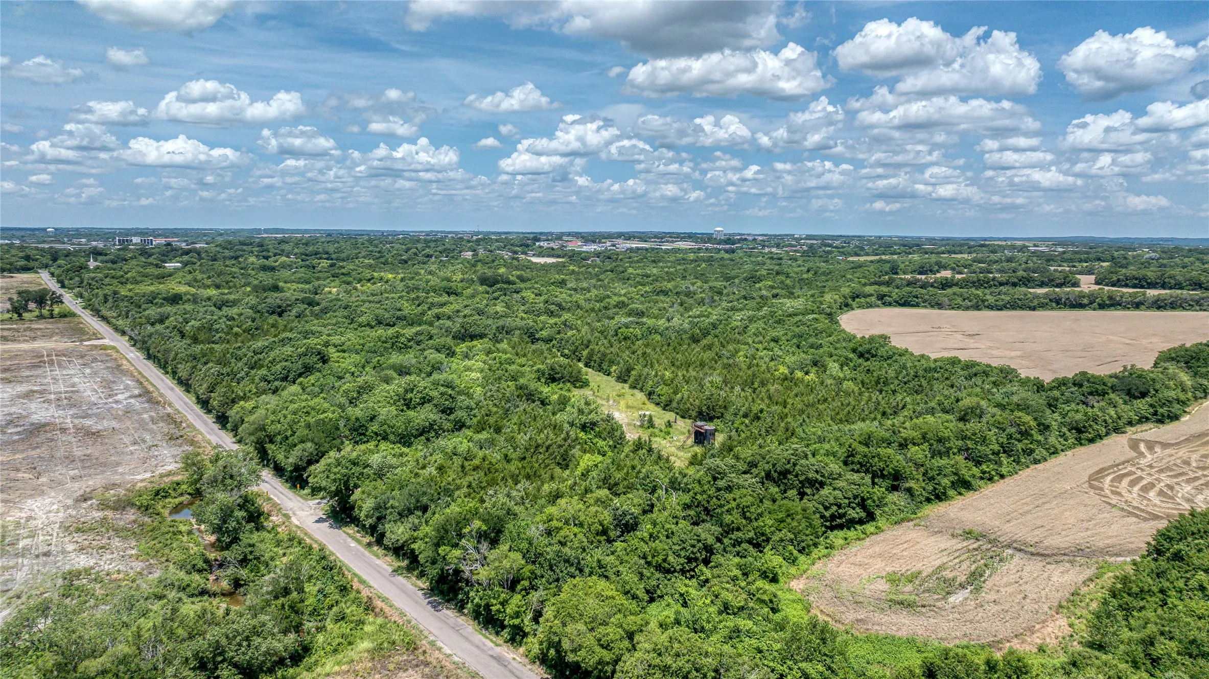 Drone / aerial view of a forest