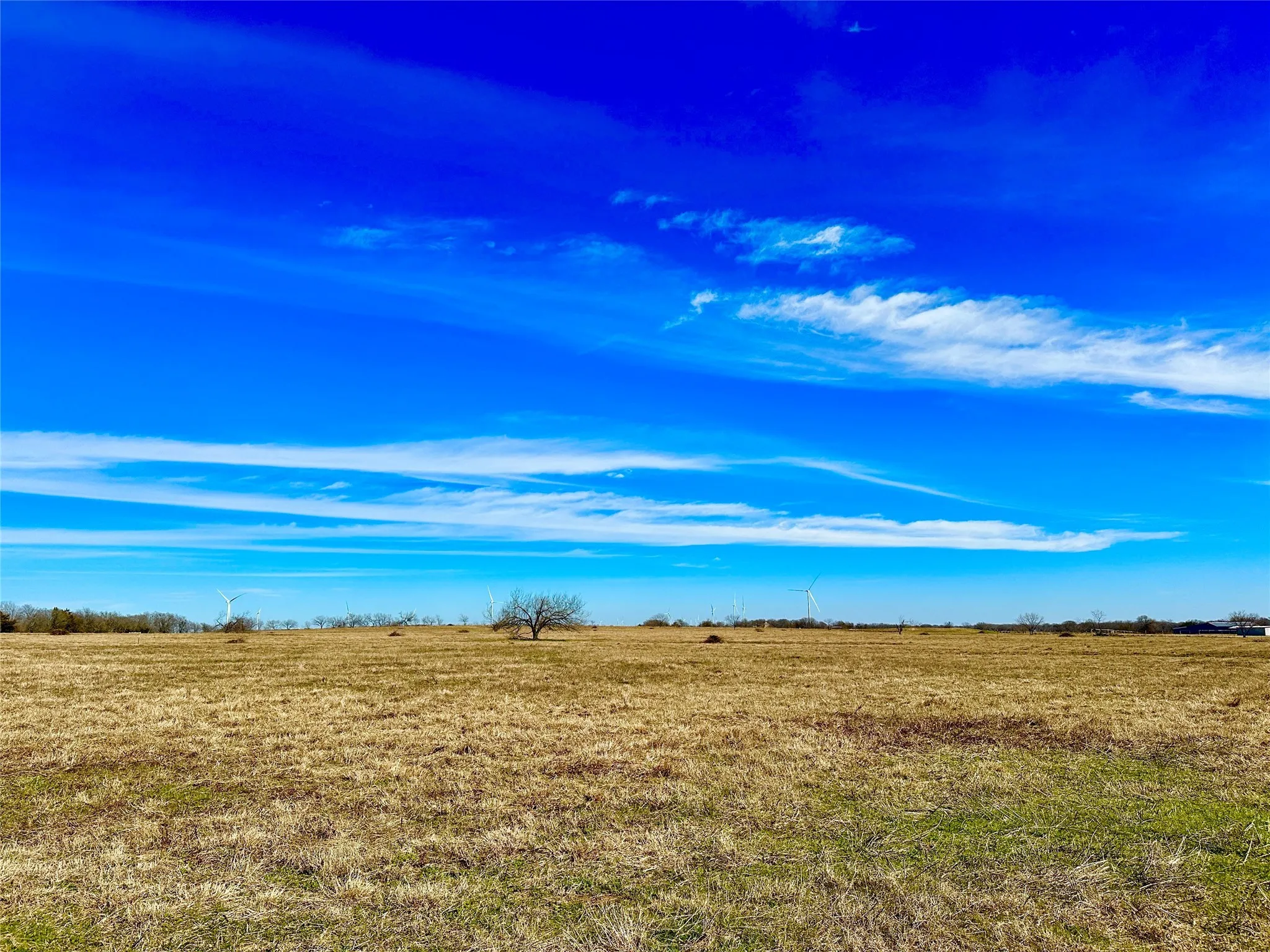 Improved Land For Sale in Limestone County , 10 ac. Tract 8 LCR 131, Mount Calm, Texas 76673, 0, 0, Garage spaces, 0 Sqft, built in 0, Price $178,000, mls#21034496, Real Estate Agent in Mount Calm, Homes For Sale in Limestone county, Homes For Sale in Mount Calm, Realtor in Mount Calm Texas, Real Estate Brokerage Independent Realty Texas, Luminita Cordes Realtor