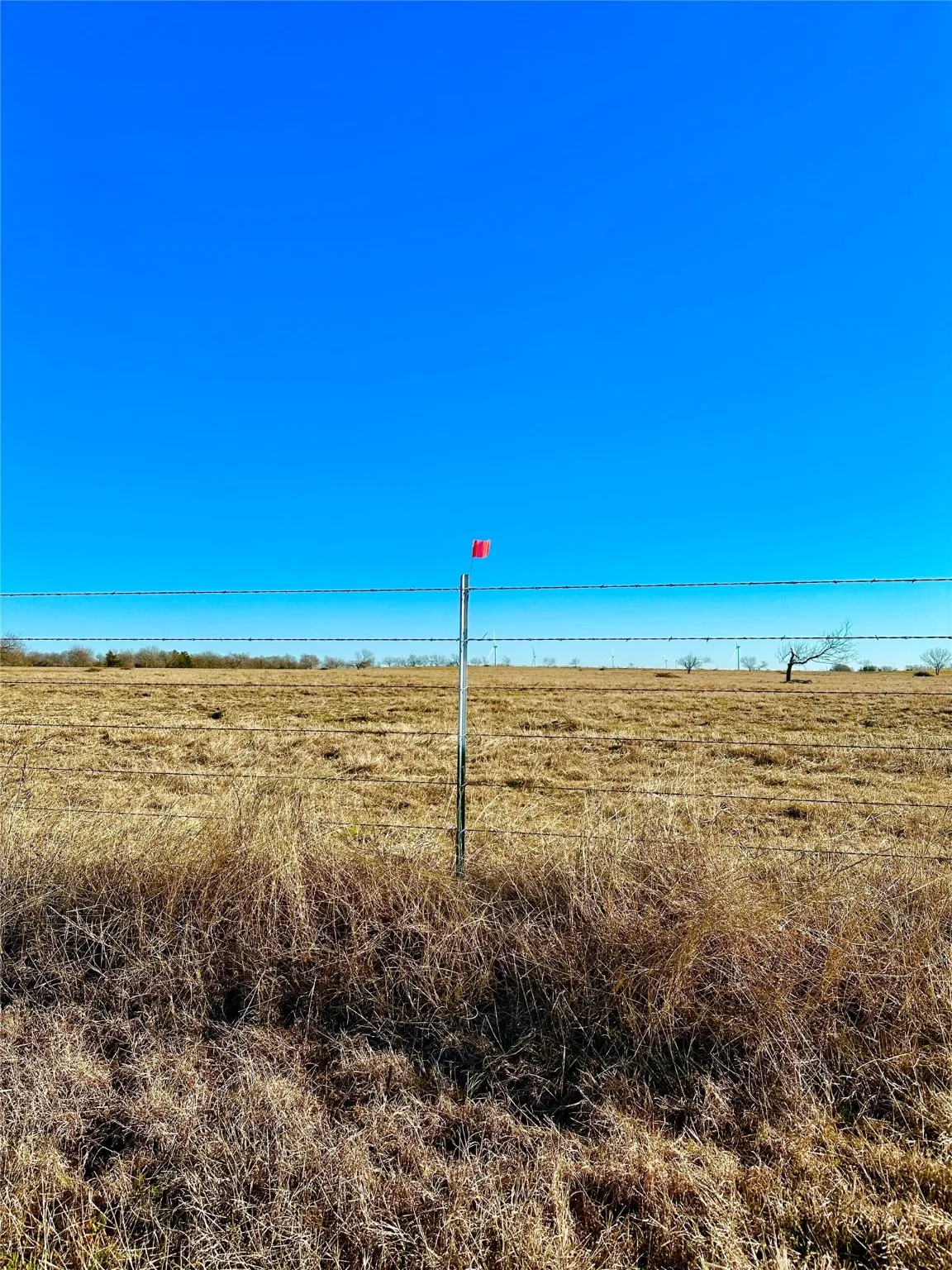 Improved Land For Sale in Limestone County , 10 ac. Tract 8 LCR 131, Mount Calm, Texas 76673, 0, 0, Garage spaces, 0 Sqft, built in 0, Price $178,000, mls#21034496, Real Estate Agent in Mount Calm, Homes For Sale in Limestone county, Homes For Sale in Mount Calm, Realtor in Mount Calm Texas, Real Estate Brokerage Independent Realty Texas, Luminita Cordes Realtor