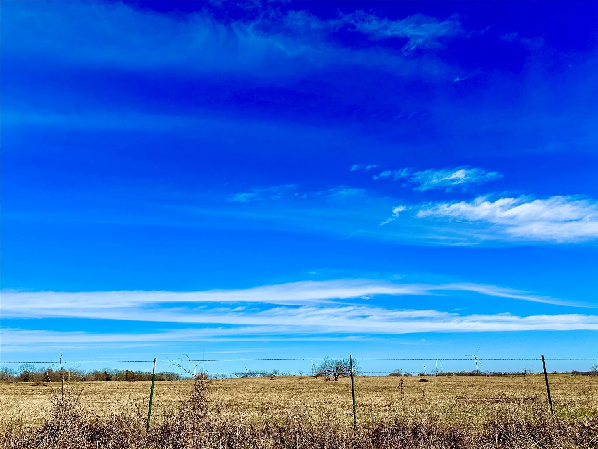 Improved Land For Sale in Limestone County , 10 ac. Tract 8 LCR 131, Mount Calm, Texas 76673, 0, 0, Garage spaces, 0 Sqft, built in 0, Price $178,000, mls#21034496, Real Estate Agent in Mount Calm, Homes For Sale in Limestone county, Homes For Sale in Mount Calm, Realtor in Mount Calm Texas, Real Estate Brokerage Independent Realty Texas, Luminita Cordes Realtor
