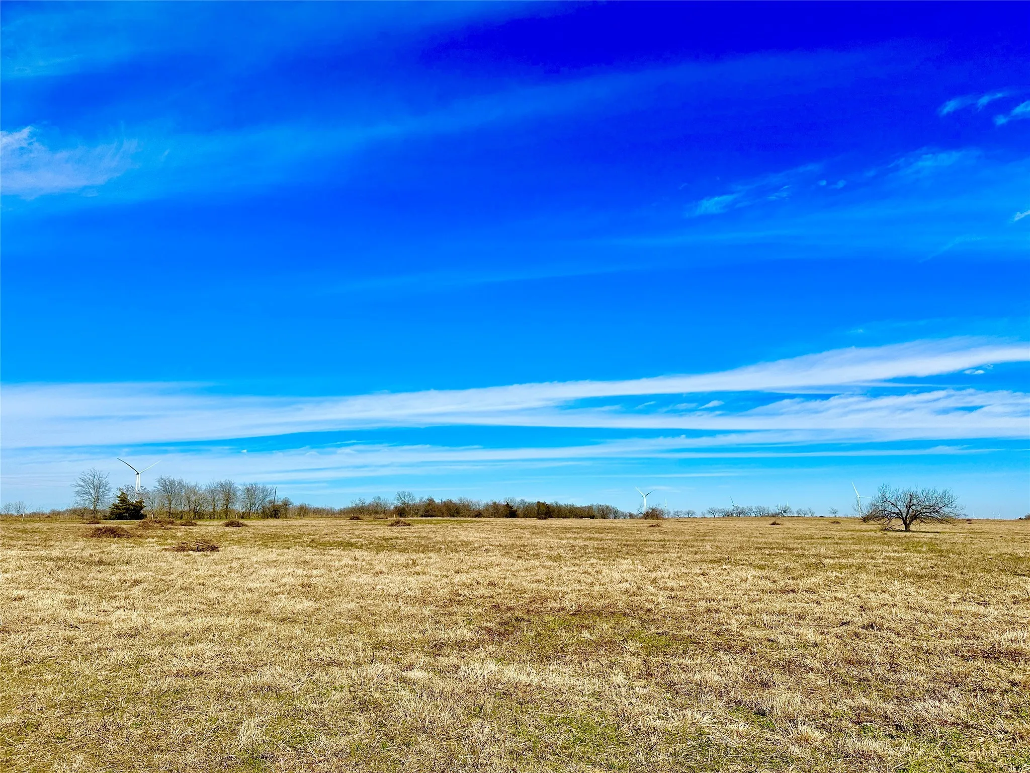 Improved Land For Sale in Limestone County , 6 ac. Tract 3 LCR 131, Mount Calm, Texas 76673, 0, 0, Garage spaces, 0 Sqft, built in 0, Price $118,000, mls#21034502, Real Estate Agent in Mount Calm, Homes For Sale in Limestone county, Homes For Sale in Mount Calm, Realtor in Mount Calm Texas, Real Estate Brokerage Independent Realty Texas, Luminita Cordes Realtor