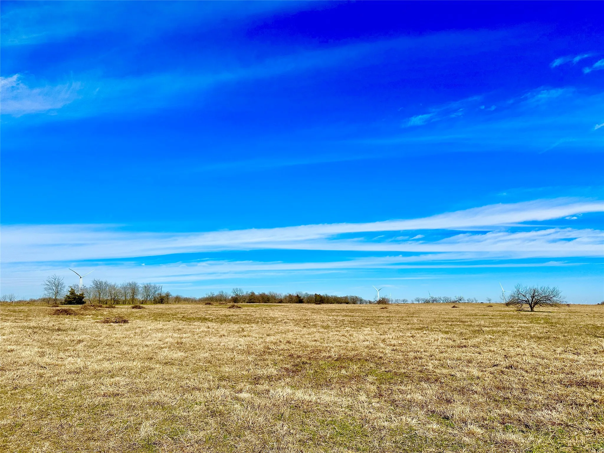 Improved Land For Sale in Limestone County , 6 ac. Tract 2 FM 339, Mount Calm, Texas 76673, 0, 0, Garage spaces, 0 Sqft, built in 0, Price $118,000, mls#21034506, Real Estate Agent in Mount Calm, Homes For Sale in Limestone county, Homes For Sale in Mount Calm, Realtor in Mount Calm Texas, Real Estate Brokerage Independent Realty Texas, Luminita Cordes Realtor