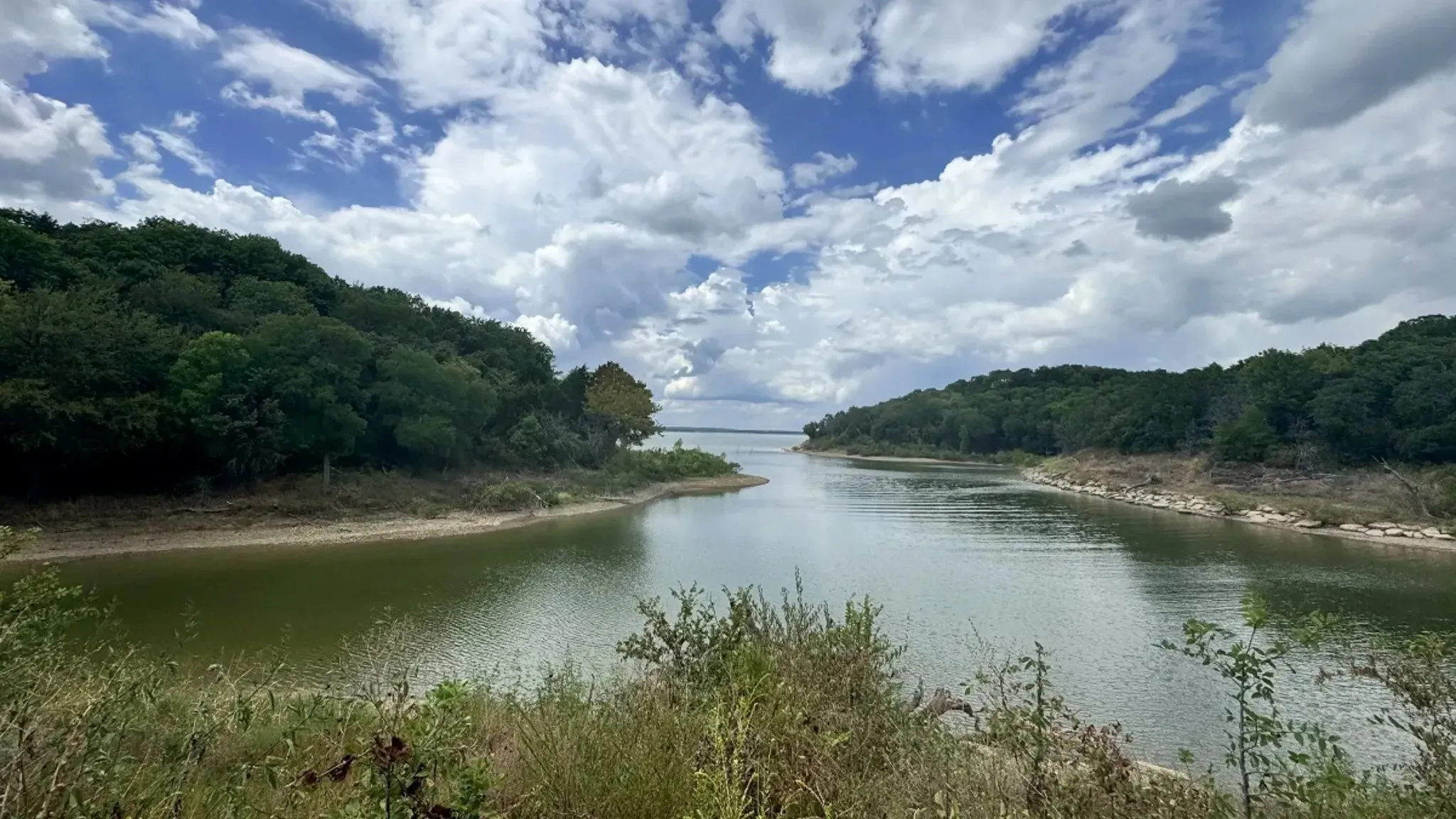 Water view featuring a forest