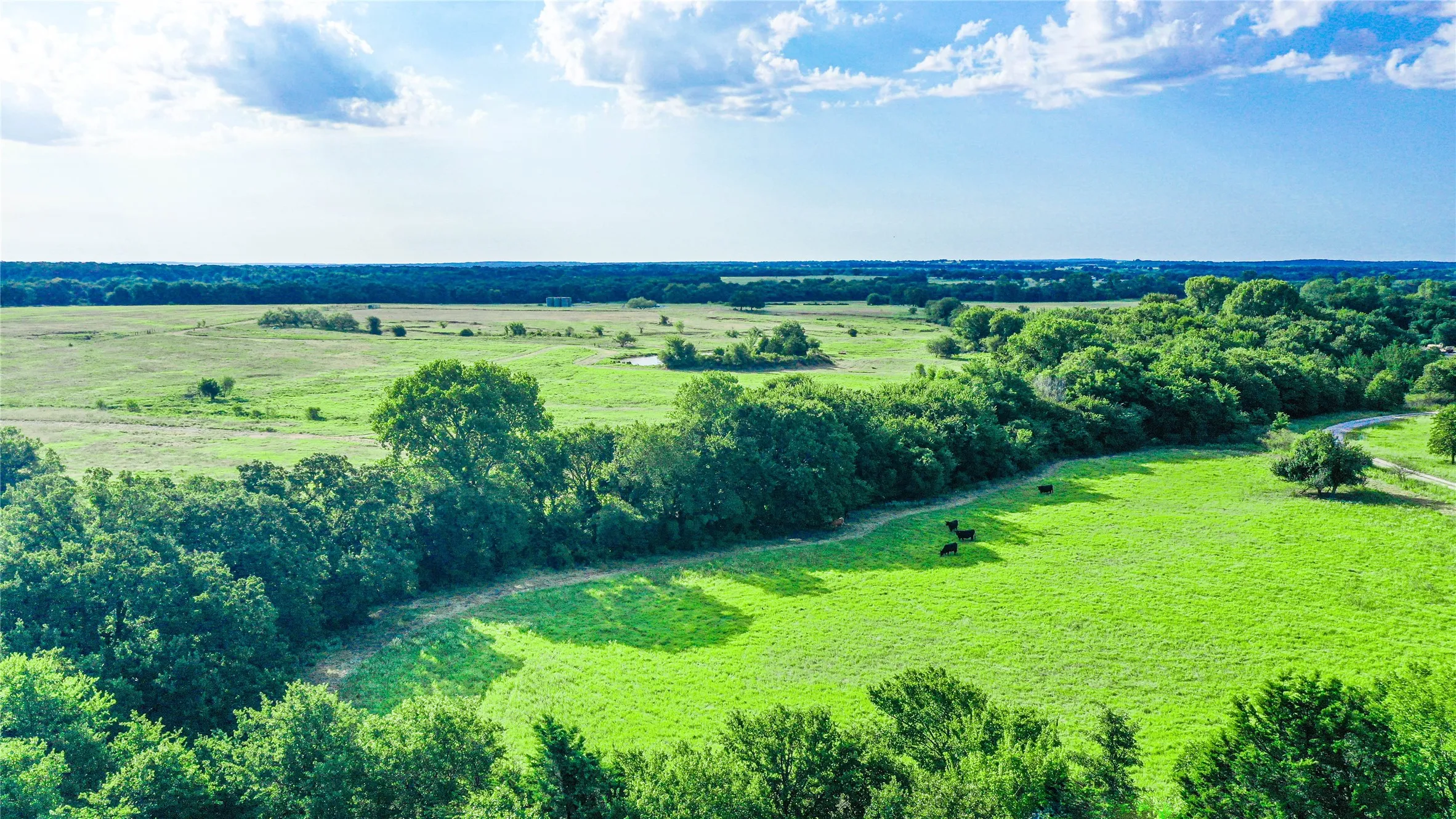 Improved Land For Sale in Montague County , 2215 Denver Road, Sunset, Texas 76270, 0, 0, Garage spaces, 0 Sqft, built in 0, Price $600,000, mls#21033603, Real Estate Agent in Sunset, Homes For Sale in Montague county, Homes For Sale in Sunset, Realtor in Sunset Texas, Real Estate Brokerage Independent Realty Texas, Luminita Cordes Realtor