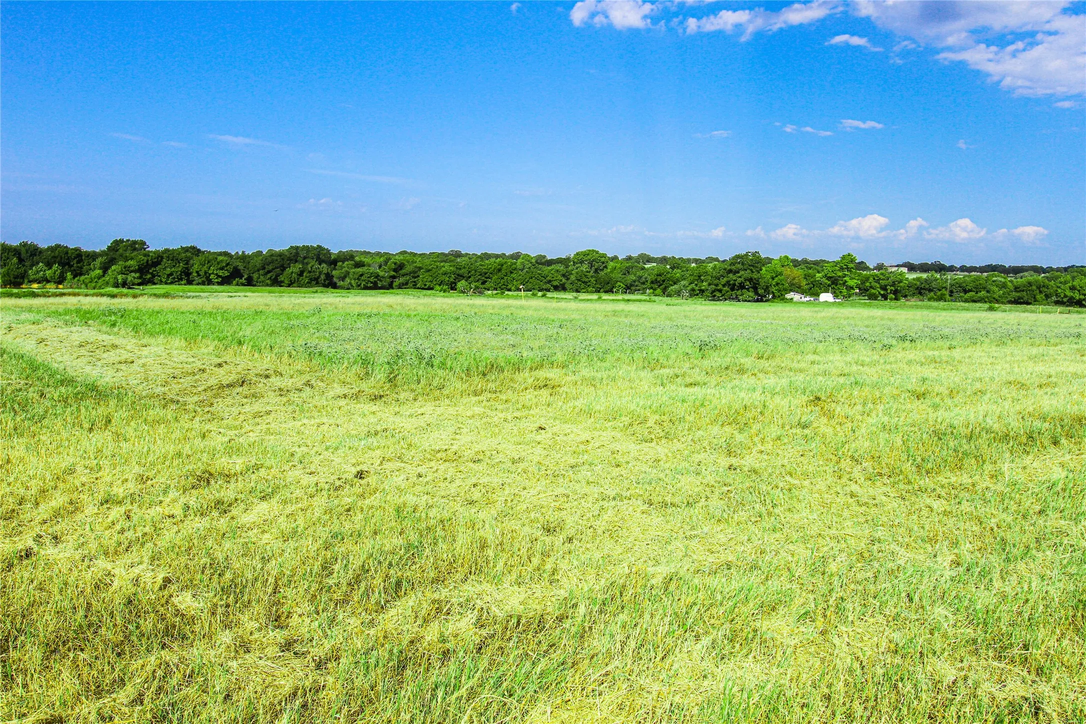 Improved Land For Sale in Montague County , 2215 Denver Road, Sunset, Texas 76270, 0, 0, Garage spaces, 0 Sqft, built in 0, Price $600,000, mls#21033603, Real Estate Agent in Sunset, Homes For Sale in Montague county, Homes For Sale in Sunset, Realtor in Sunset Texas, Real Estate Brokerage Independent Realty Texas, Luminita Cordes Realtor