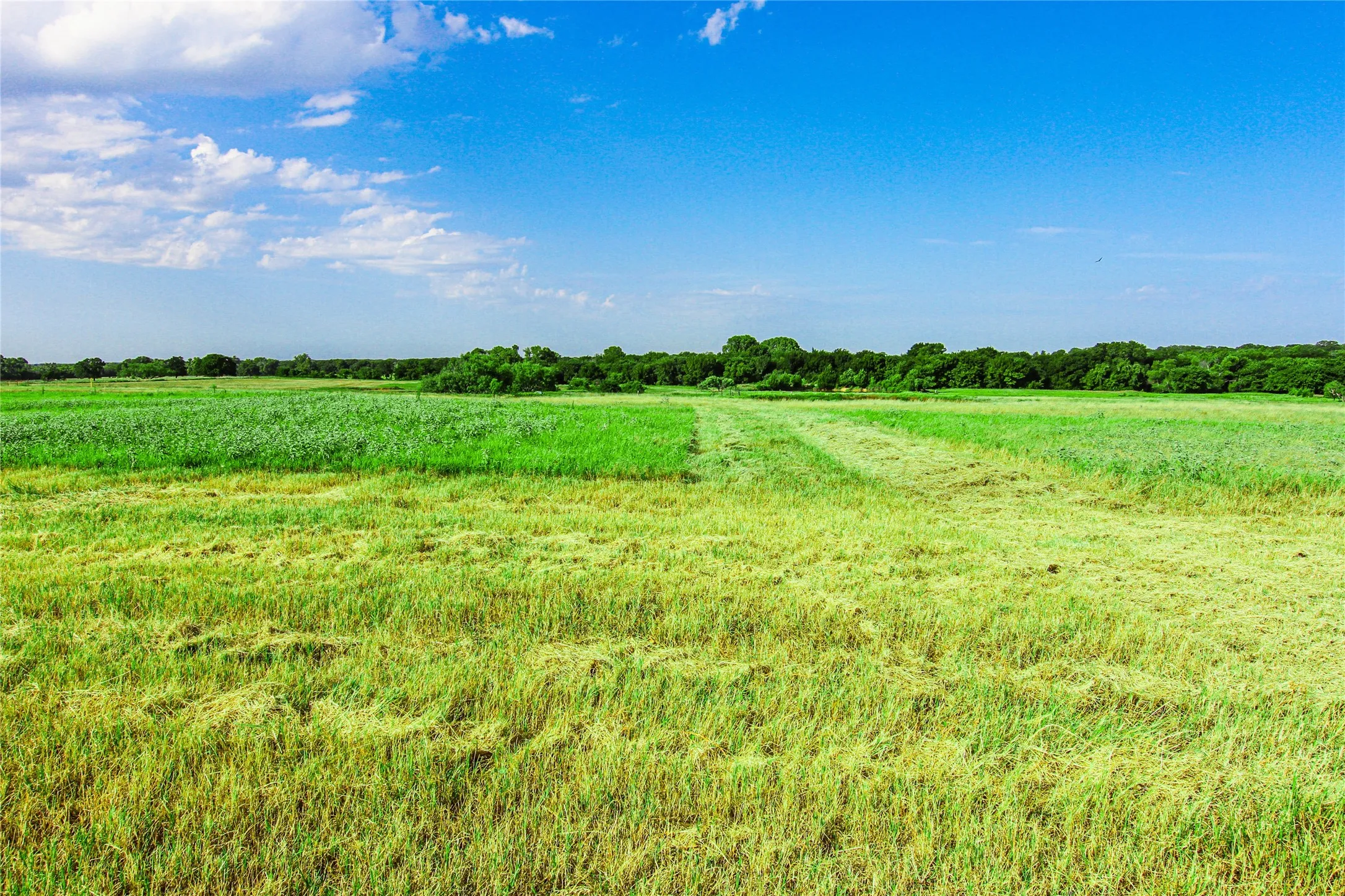 Improved Land For Sale in Montague County , 2215 Denver Road, Sunset, Texas 76270, 0, 0, Garage spaces, 0 Sqft, built in 0, Price $600,000, mls#21033603, Real Estate Agent in Sunset, Homes For Sale in Montague county, Homes For Sale in Sunset, Realtor in Sunset Texas, Real Estate Brokerage Independent Realty Texas, Luminita Cordes Realtor