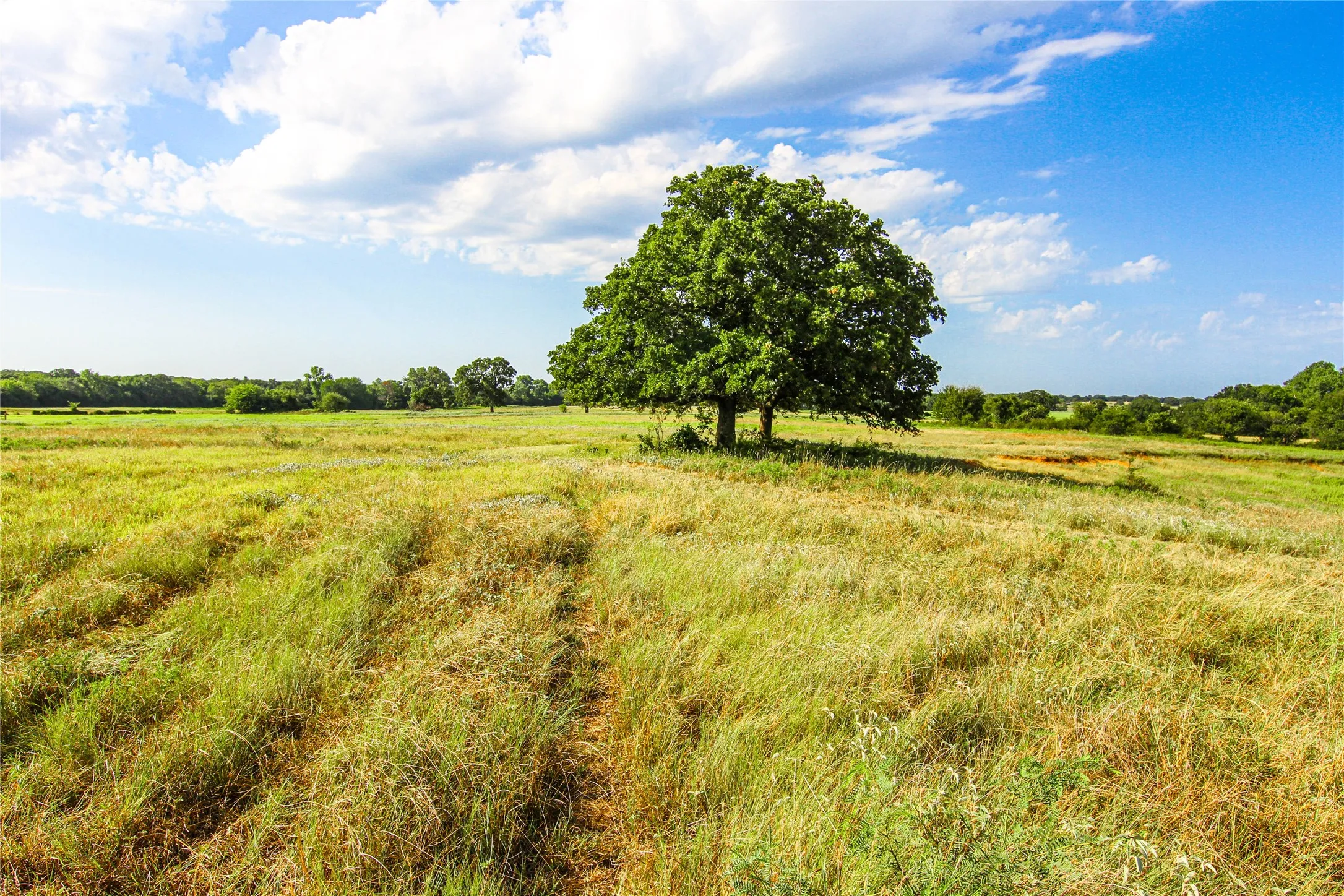 Improved Land For Sale in Montague County , 2215 Denver Road, Sunset, Texas 76270, 0, 0, Garage spaces, 0 Sqft, built in 0, Price $600,000, mls#21033603, Real Estate Agent in Sunset, Homes For Sale in Montague county, Homes For Sale in Sunset, Realtor in Sunset Texas, Real Estate Brokerage Independent Realty Texas, Luminita Cordes Realtor