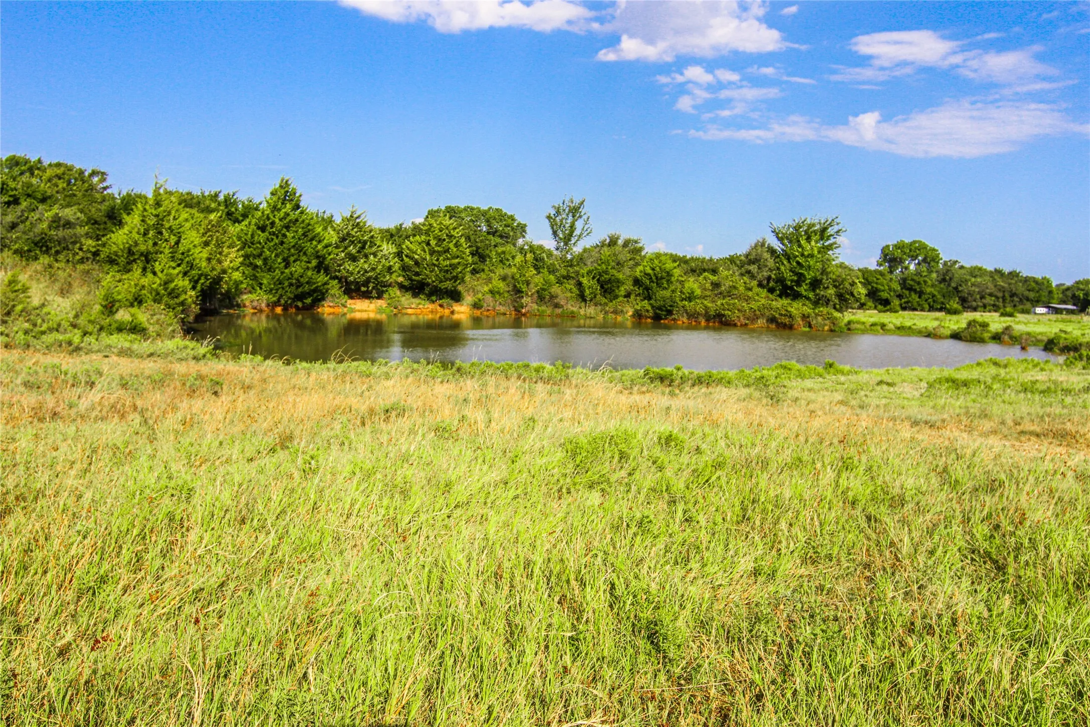 Improved Land For Sale in Montague County , 2215 Denver Road, Sunset, Texas 76270, 0, 0, Garage spaces, 0 Sqft, built in 0, Price $600,000, mls#21033603, Real Estate Agent in Sunset, Homes For Sale in Montague county, Homes For Sale in Sunset, Realtor in Sunset Texas, Real Estate Brokerage Independent Realty Texas, Luminita Cordes Realtor