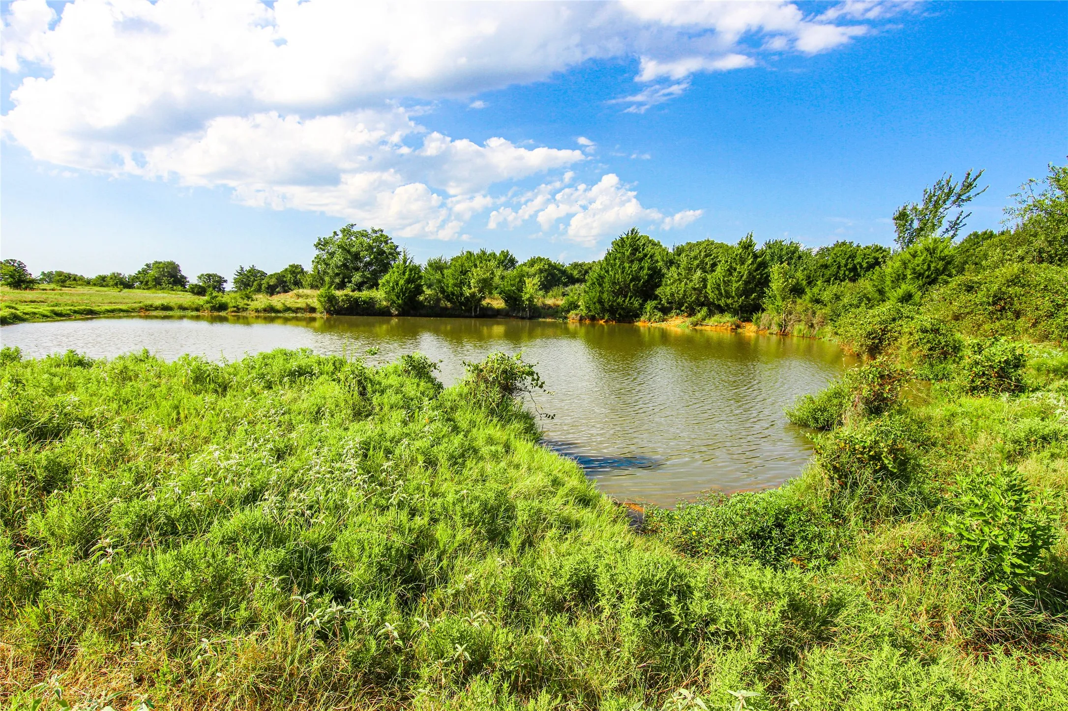 Improved Land For Sale in Montague County , 2215 Denver Road, Sunset, Texas 76270, 0, 0, Garage spaces, 0 Sqft, built in 0, Price $600,000, mls#21033603, Real Estate Agent in Sunset, Homes For Sale in Montague county, Homes For Sale in Sunset, Realtor in Sunset Texas, Real Estate Brokerage Independent Realty Texas, Luminita Cordes Realtor