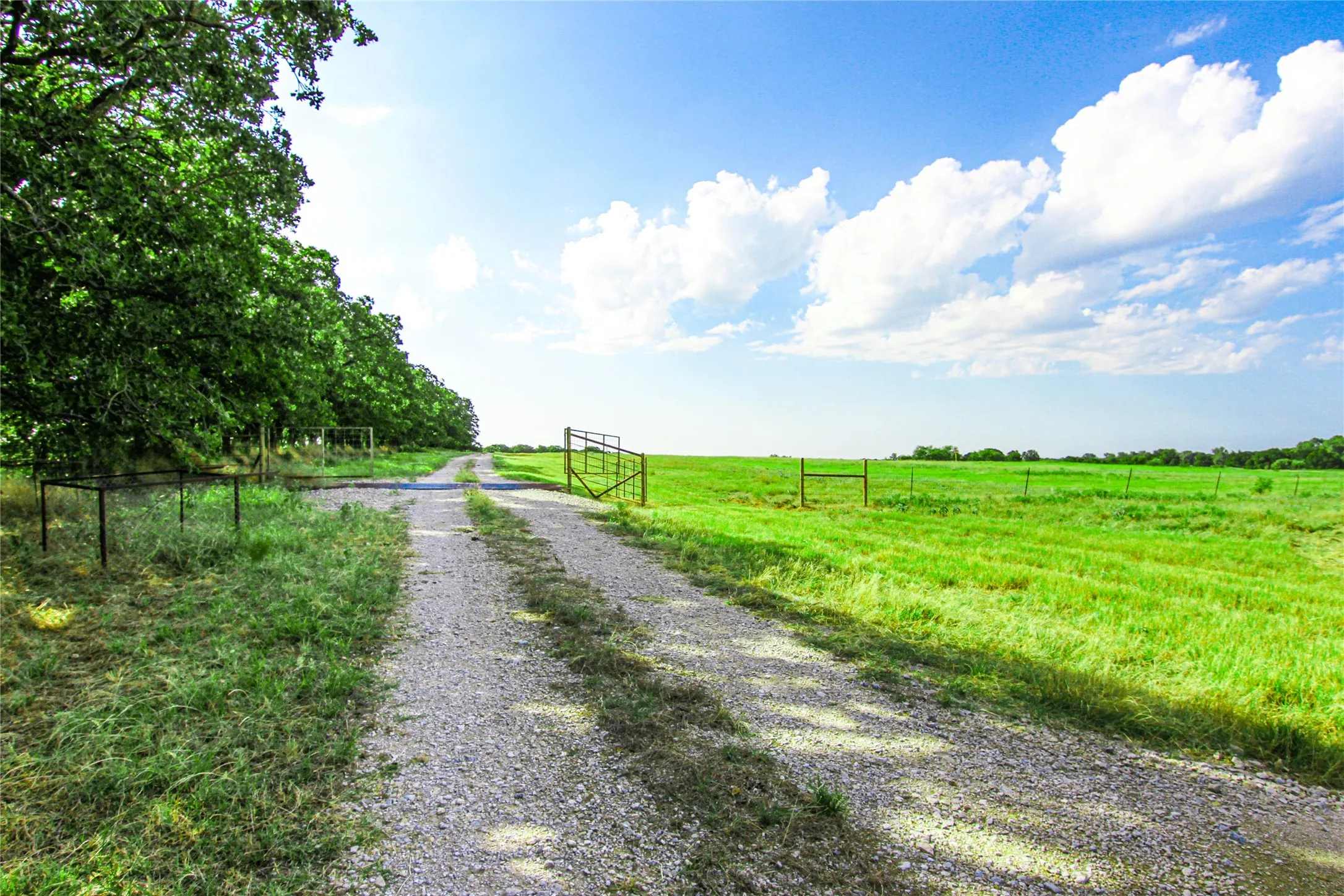 Improved Land For Sale in Montague County , 2215 Denver Road, Sunset, Texas 76270, 0, 0, Garage spaces, 0 Sqft, built in 0, Price $600,000, mls#21033603, Real Estate Agent in Sunset, Homes For Sale in Montague county, Homes For Sale in Sunset, Realtor in Sunset Texas, Real Estate Brokerage Independent Realty Texas, Luminita Cordes Realtor
