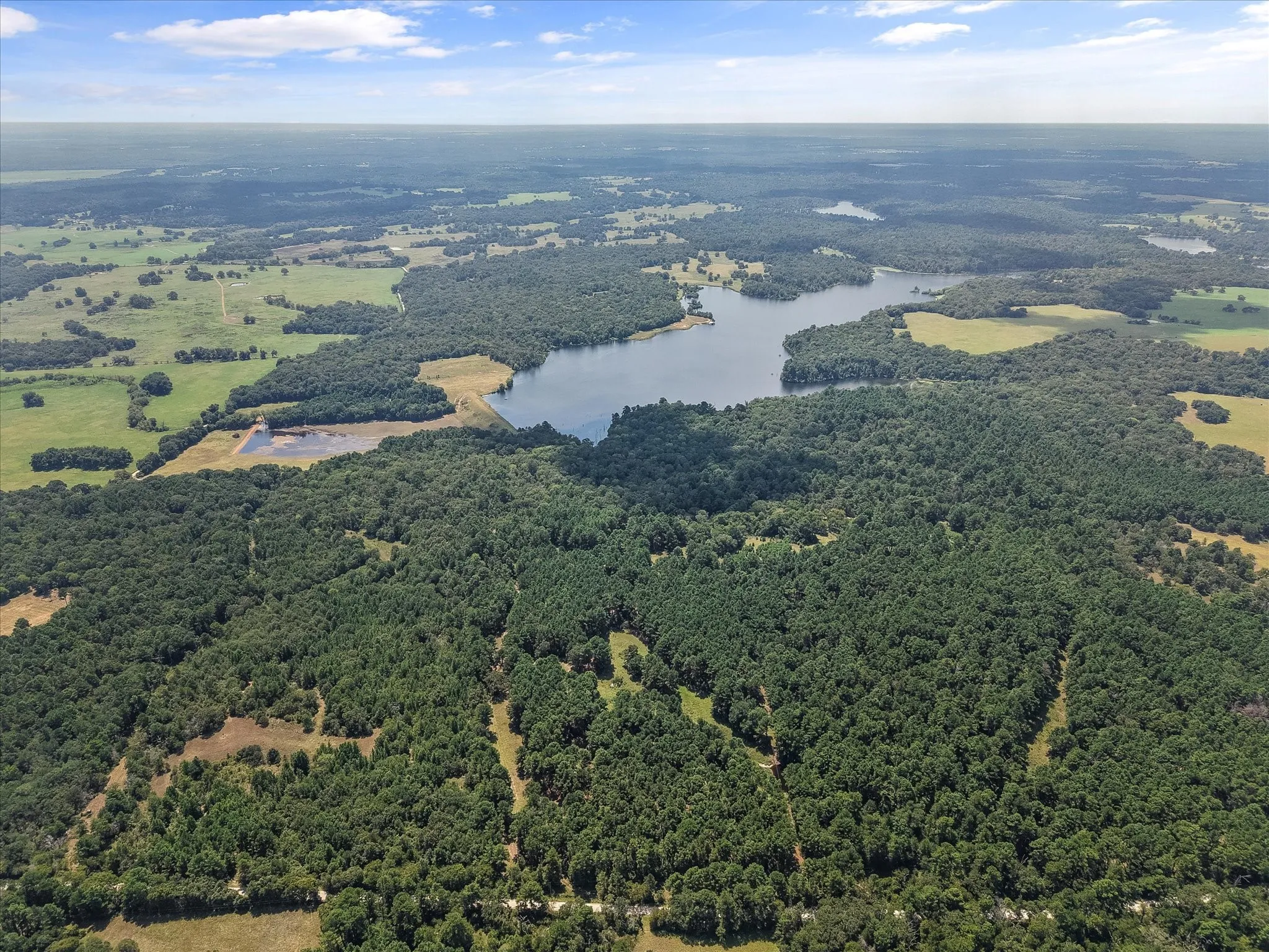 Unimproved Land For Sale in Freestone County , 541 FCR 240, Fairfield, Texas 75840, 0, 0, Garage spaces, 0 Sqft, built in 1960, mls#21034982, Real Estate Agent in Fairfield, Homes For Sale in Freestone county, Homes For Sale in Fairfield, Realtor in Fairfield Texas, Real Estate Brokerage Independent Realty Texas, Luminita Cordes Realtor