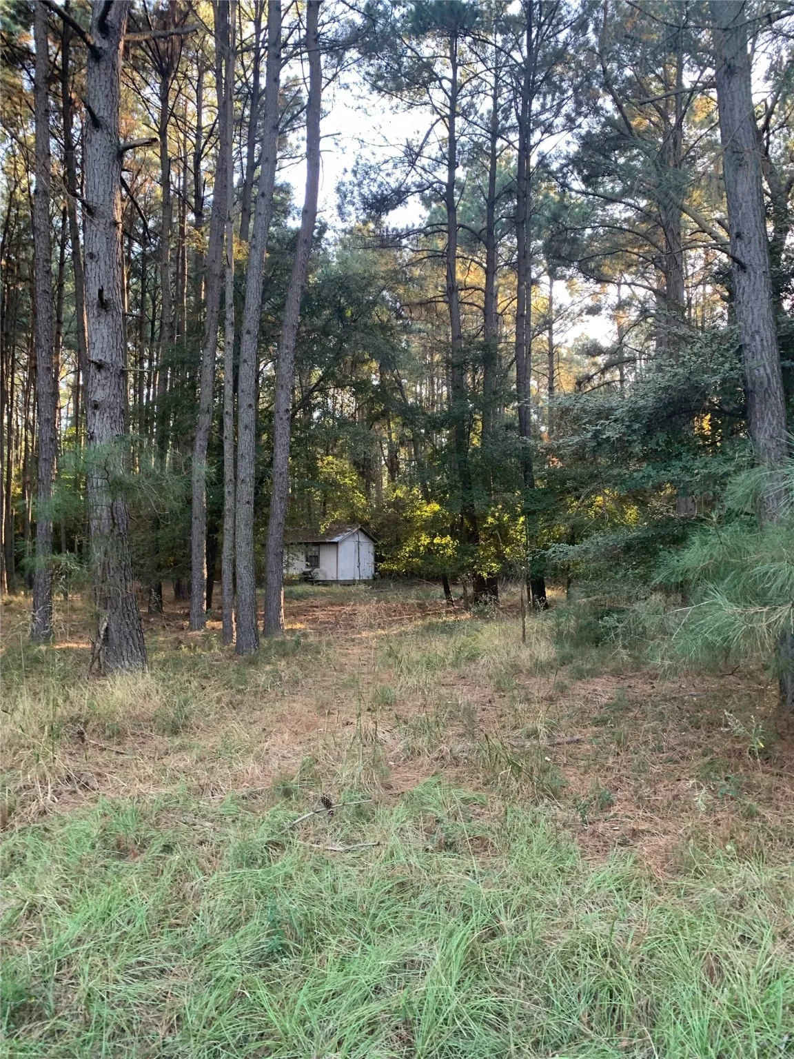 Unimproved Land For Sale in Freestone County , 541 FCR 240, Fairfield, Texas 75840, 0, 0, Garage spaces, 0 Sqft, built in 1960, mls#21034982, Real Estate Agent in Fairfield, Homes For Sale in Freestone county, Homes For Sale in Fairfield, Realtor in Fairfield Texas, Real Estate Brokerage Independent Realty Texas, Luminita Cordes Realtor