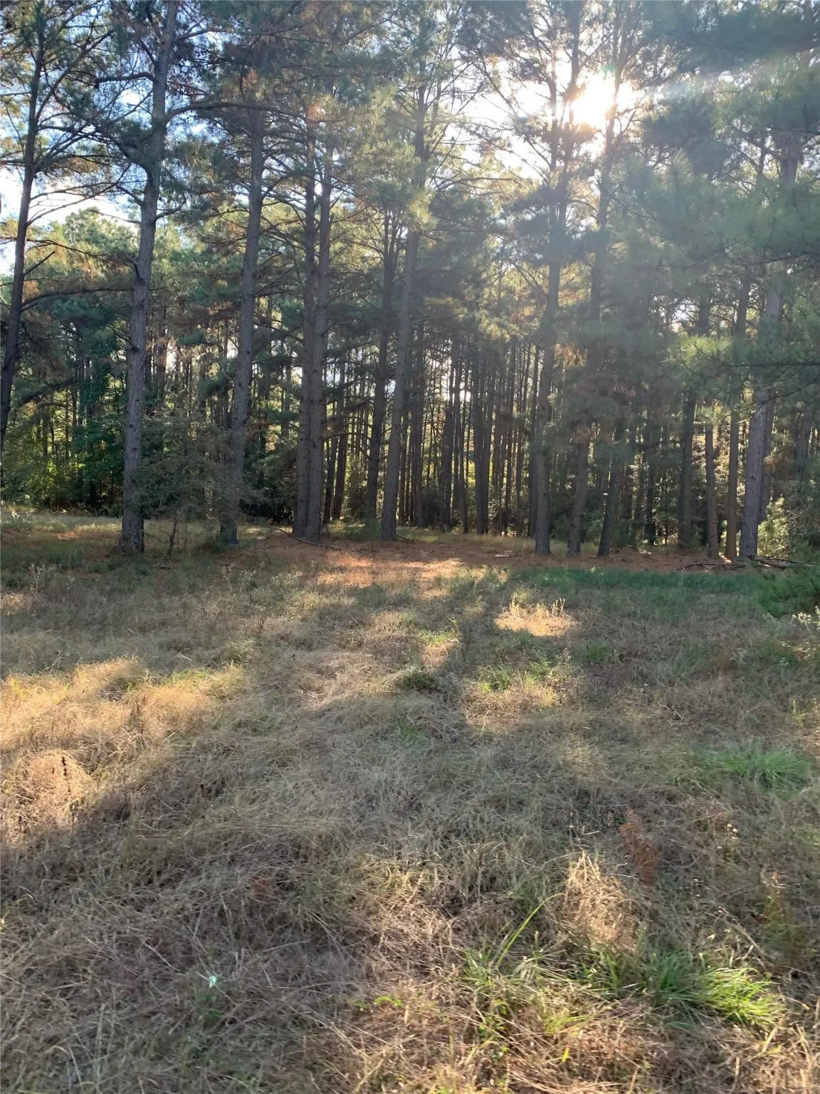 Unimproved Land For Sale in Freestone County , 541 FCR 240, Fairfield, Texas 75840, 0, 0, Garage spaces, 0 Sqft, built in 1960, mls#21034982, Real Estate Agent in Fairfield, Homes For Sale in Freestone county, Homes For Sale in Fairfield, Realtor in Fairfield Texas, Real Estate Brokerage Independent Realty Texas, Luminita Cordes Realtor