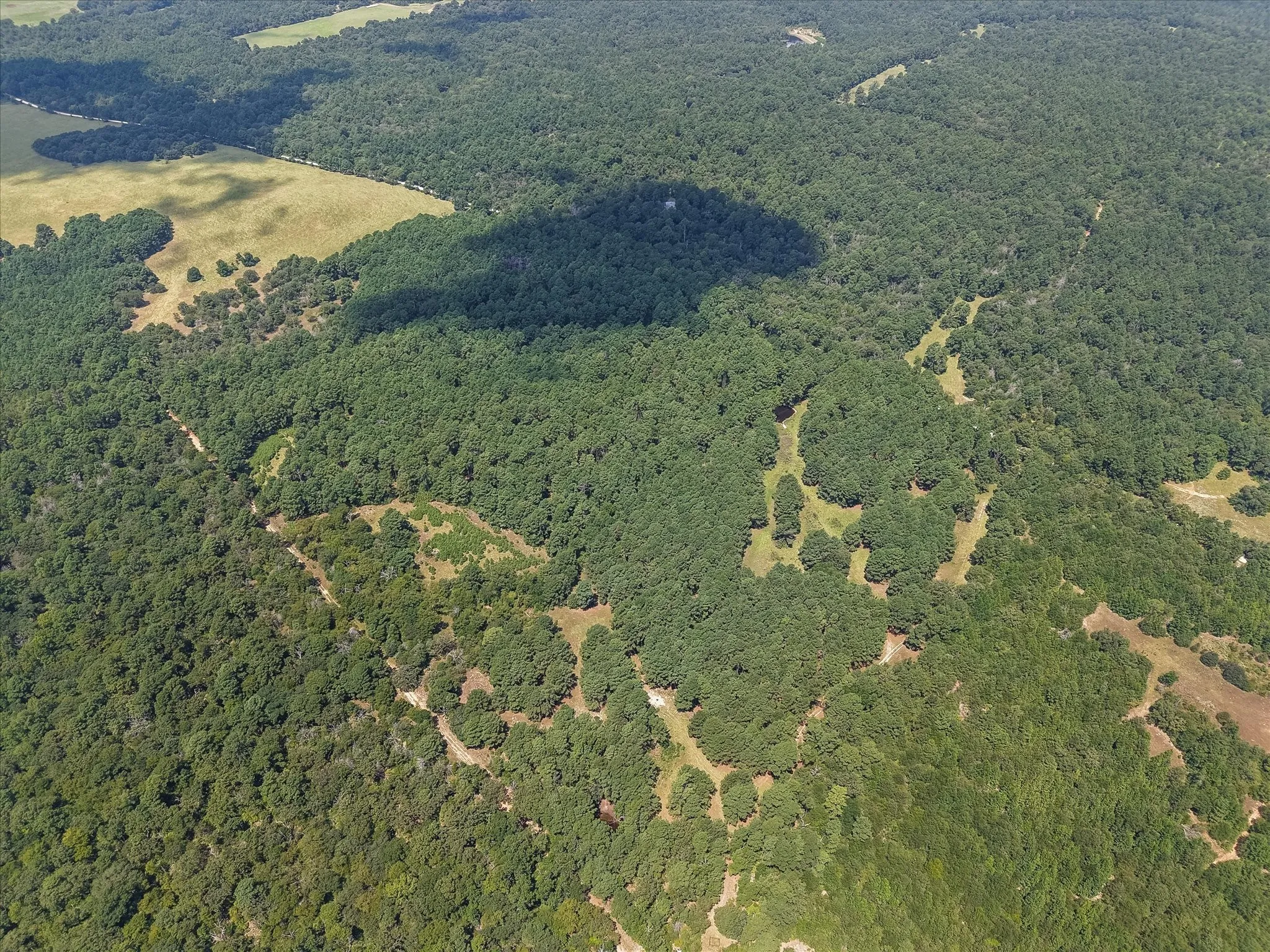 Unimproved Land For Sale in Freestone County , 541 FCR 240, Fairfield, Texas 75840, 0, 0, Garage spaces, 0 Sqft, built in 1960, mls#21034982, Real Estate Agent in Fairfield, Homes For Sale in Freestone county, Homes For Sale in Fairfield, Realtor in Fairfield Texas, Real Estate Brokerage Independent Realty Texas, Luminita Cordes Realtor