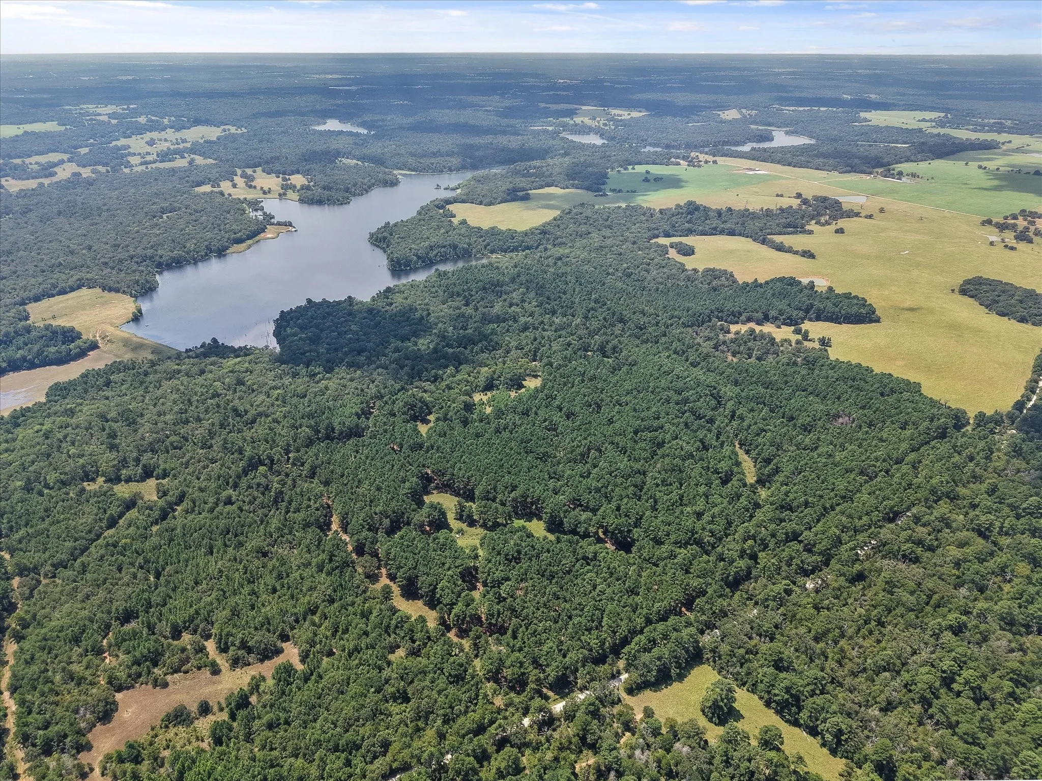 Unimproved Land For Sale in Freestone County , 541 FCR 240, Fairfield, Texas 75840, 0, 0, Garage spaces, 0 Sqft, built in 1960, mls#21034982, Real Estate Agent in Fairfield, Homes For Sale in Freestone county, Homes For Sale in Fairfield, Realtor in Fairfield Texas, Real Estate Brokerage Independent Realty Texas, Luminita Cordes Realtor