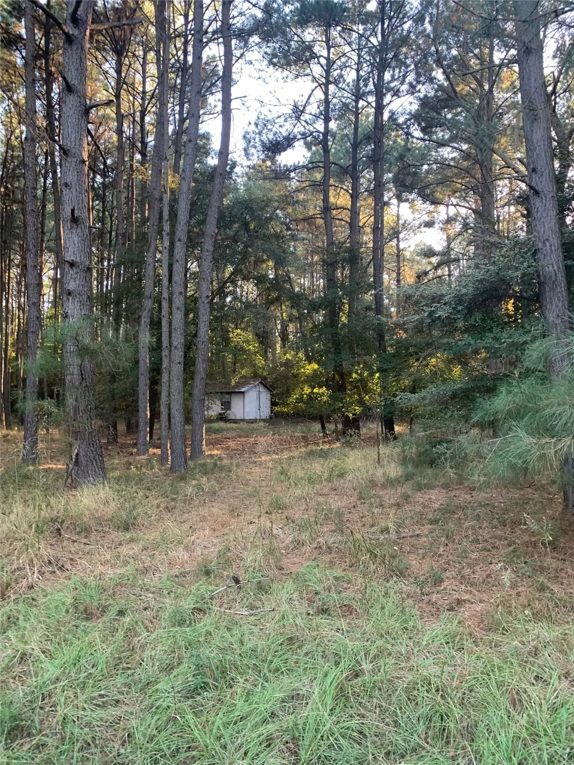 Unimproved Land For Sale in Freestone County , 541 FCR 240, Fairfield, Texas 75840, 0, 0, Garage spaces, 0 Sqft, built in 1960, mls#21034982, Real Estate Agent in Fairfield, Homes For Sale in Freestone county, Homes For Sale in Fairfield, Realtor in Fairfield Texas, Real Estate Brokerage Independent Realty Texas, Luminita Cordes Realtor