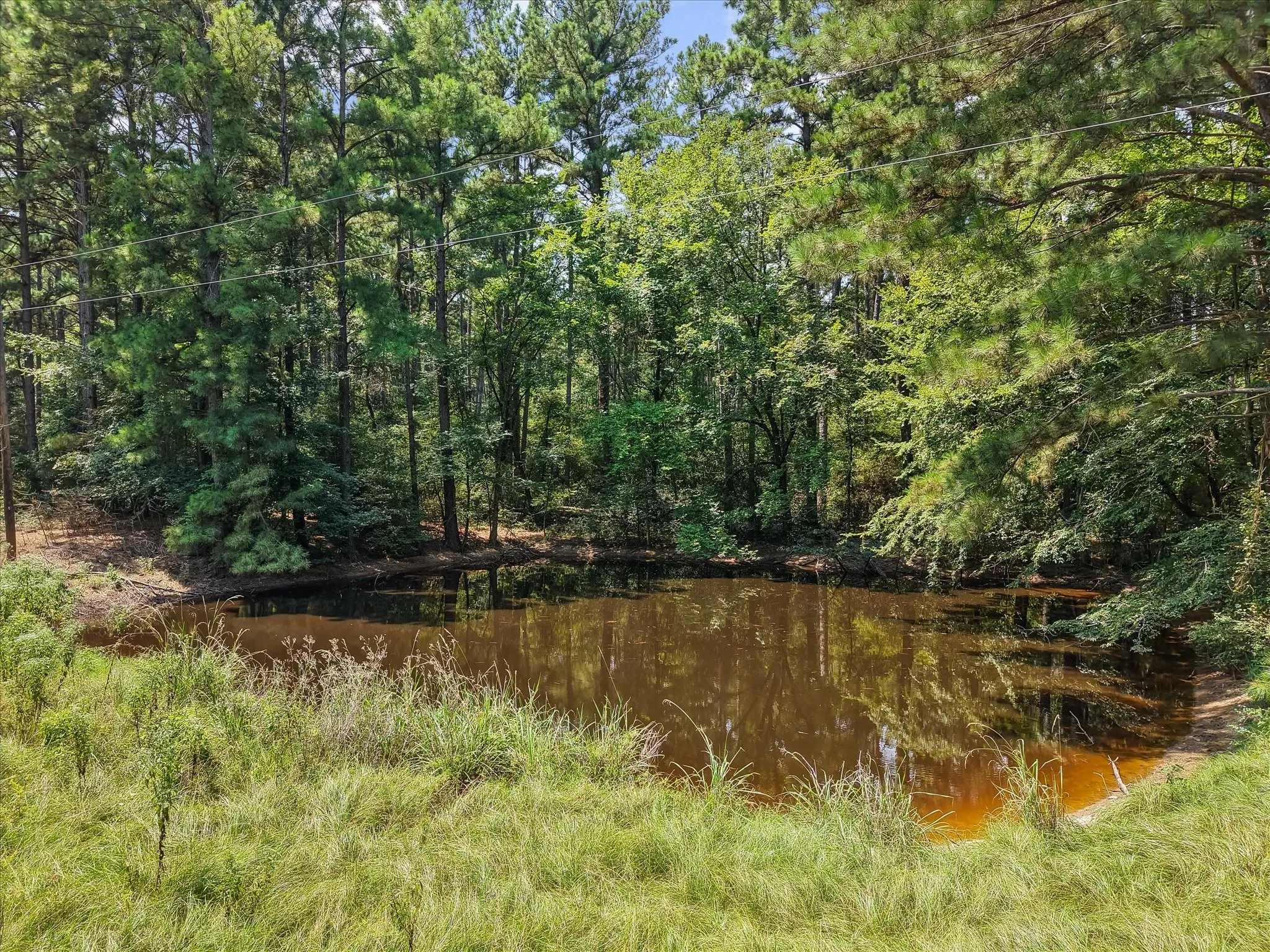 Unimproved Land For Sale in Freestone County , 541 FCR 240, Fairfield, Texas 75840, 0, 0, Garage spaces, 0 Sqft, built in 1960, mls#21034982, Real Estate Agent in Fairfield, Homes For Sale in Freestone county, Homes For Sale in Fairfield, Realtor in Fairfield Texas, Real Estate Brokerage Independent Realty Texas, Luminita Cordes Realtor
