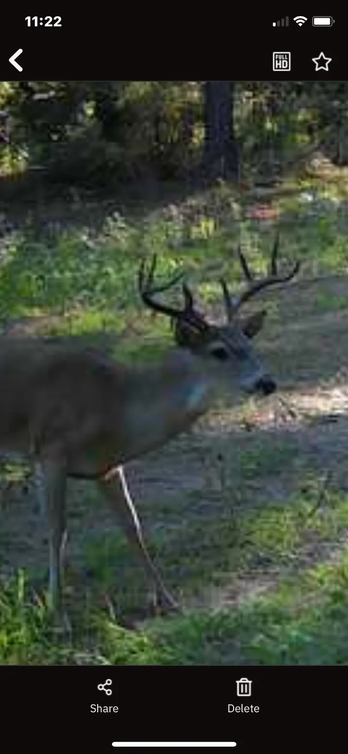 Unimproved Land For Sale in Freestone County , 541 FCR 240, Fairfield, Texas 75840, 0, 0, Garage spaces, 0 Sqft, built in 1960, mls#21034982, Real Estate Agent in Fairfield, Homes For Sale in Freestone county, Homes For Sale in Fairfield, Realtor in Fairfield Texas, Real Estate Brokerage Independent Realty Texas, Luminita Cordes Realtor